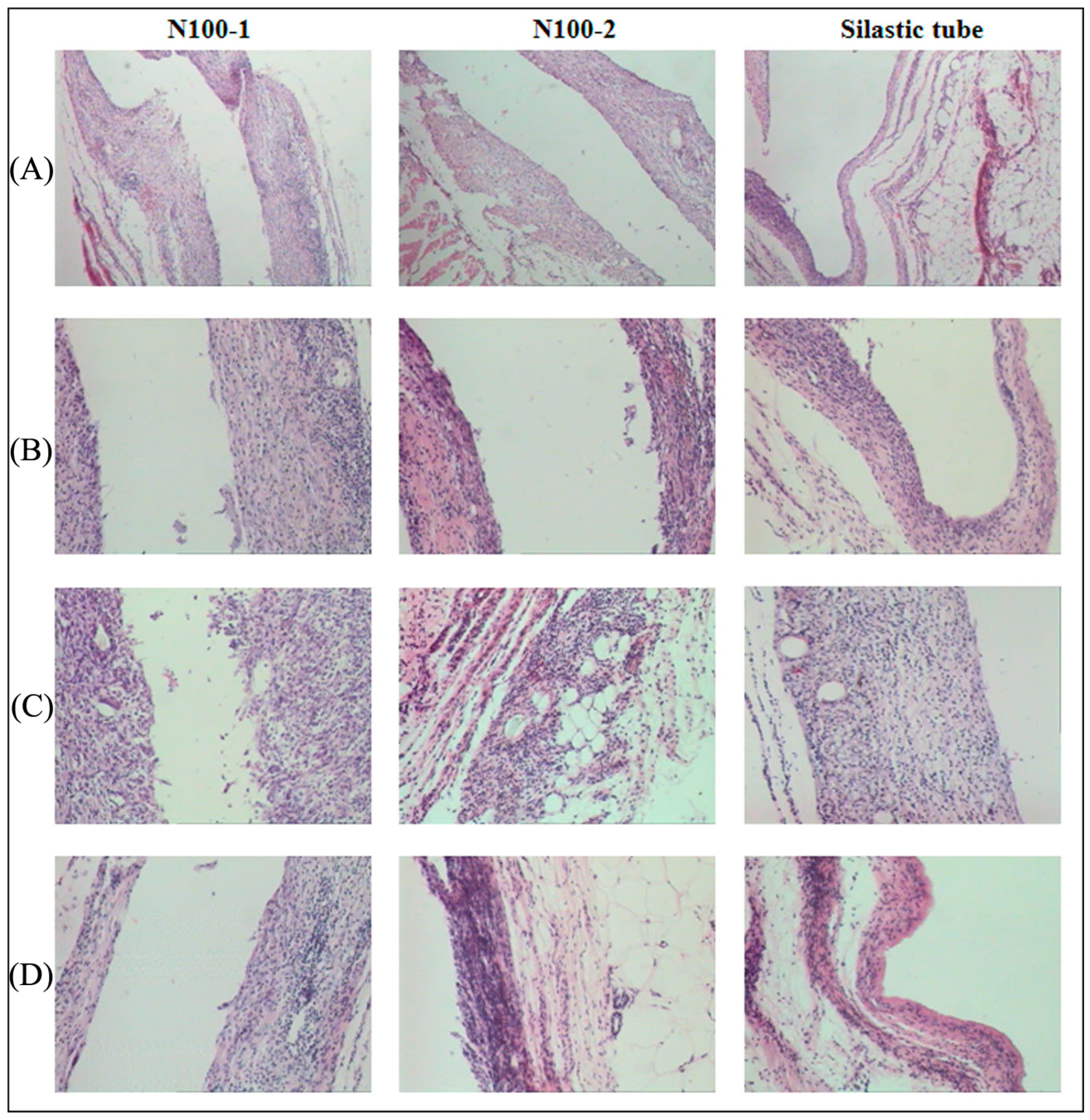 Polymers 08 00151 g019