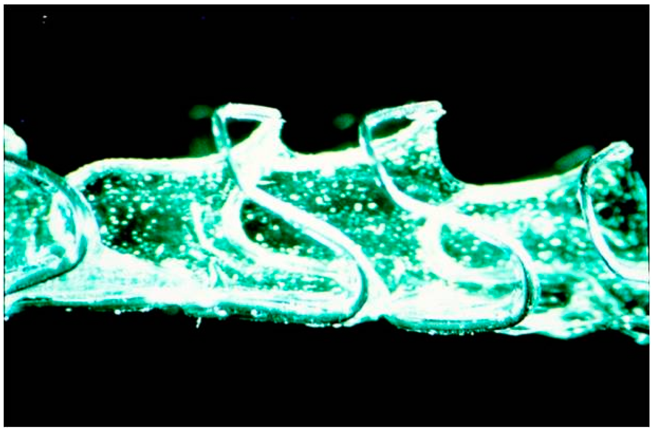Polymers 08 00158 g003