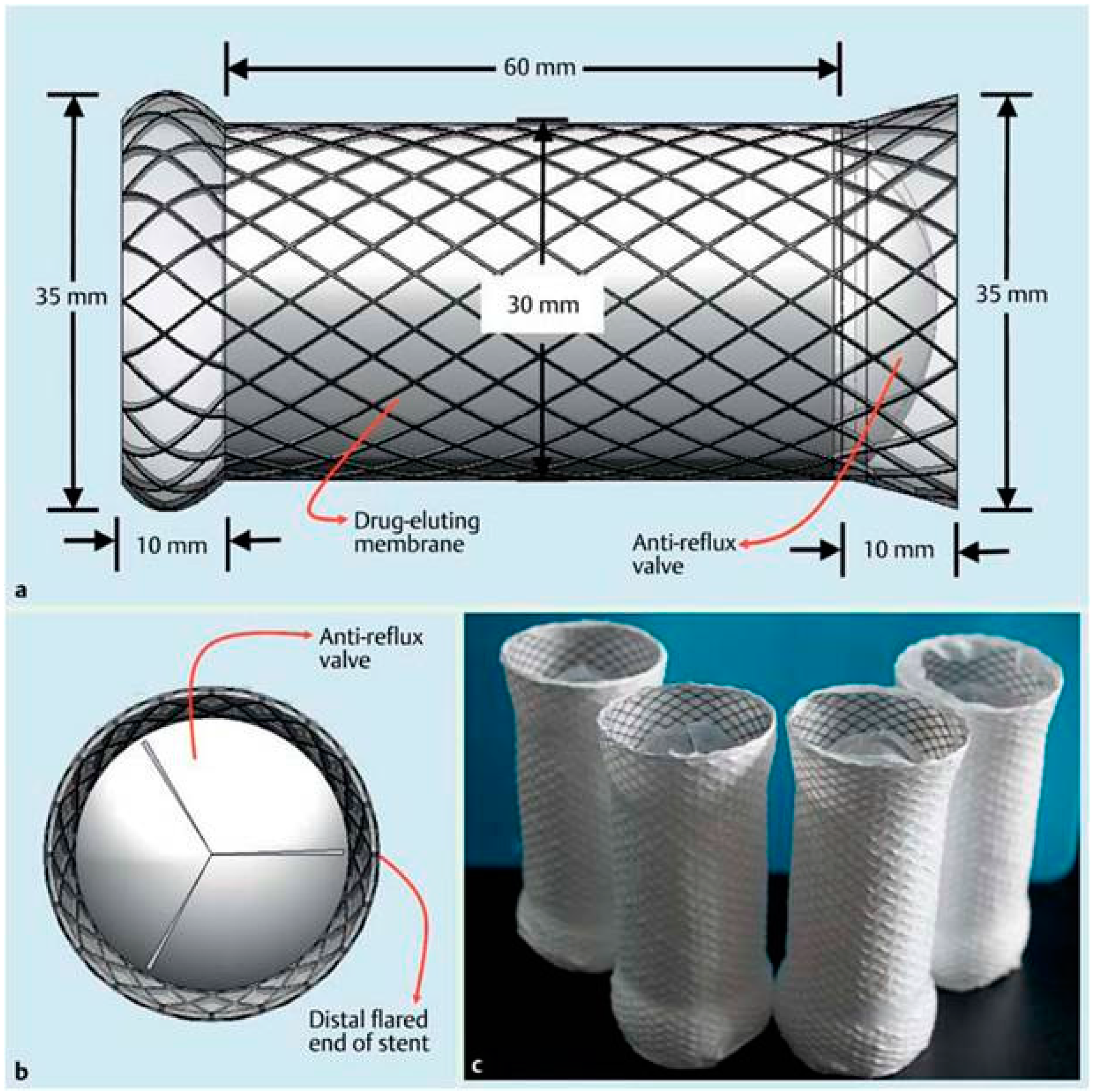 Polymers 08 00158 g007