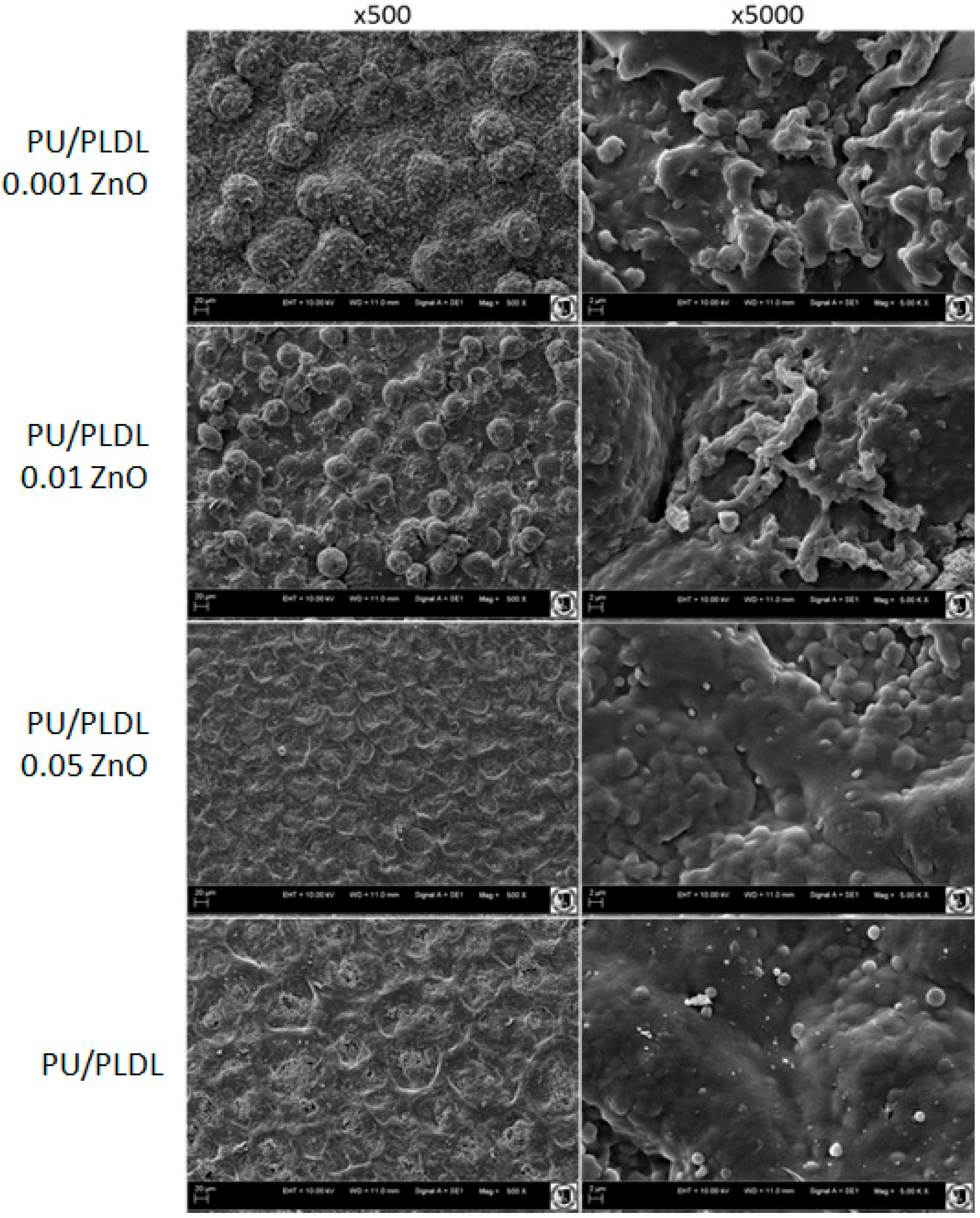 Polymers 08 00175 g001