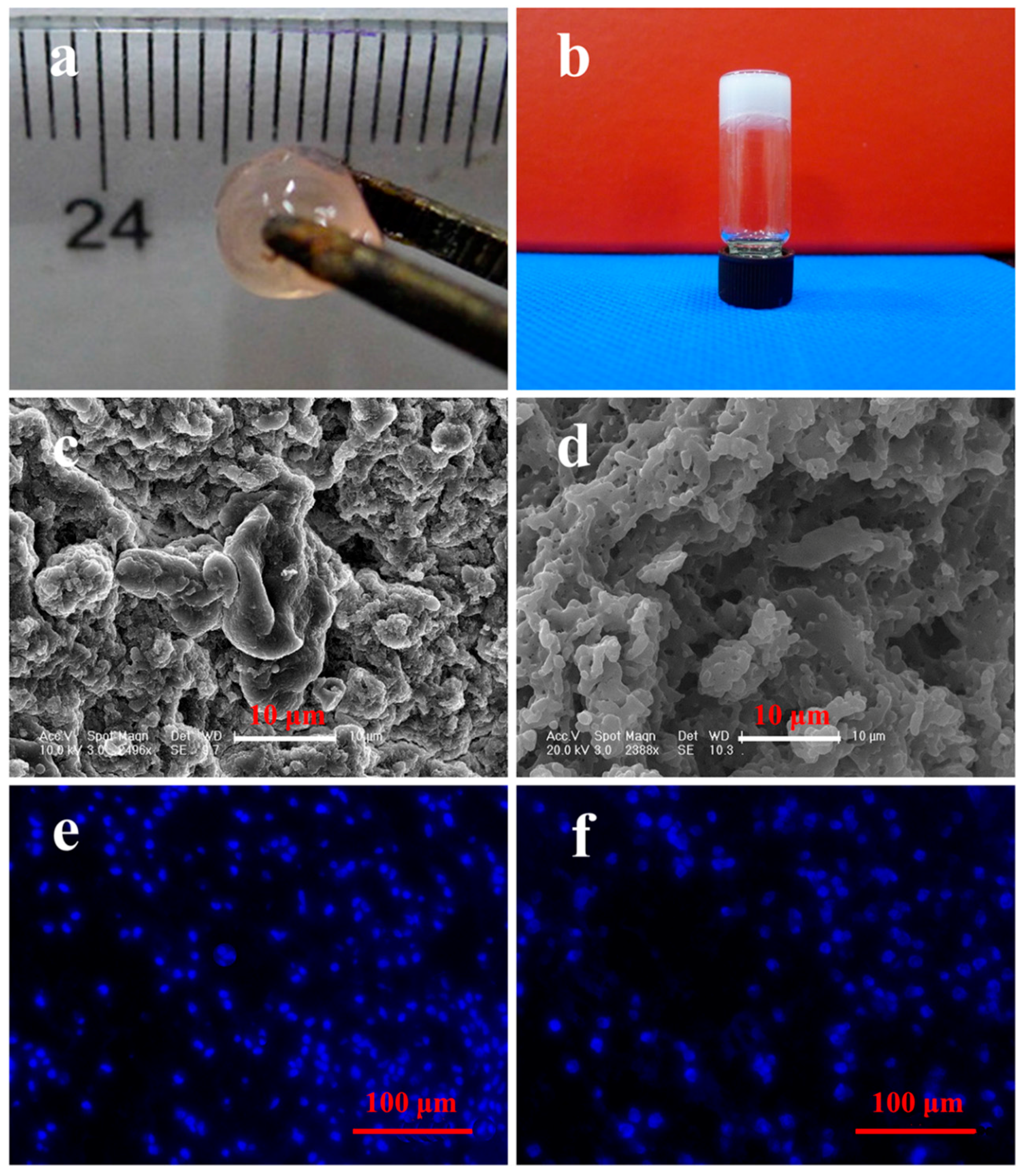 Polymers 08 00182 g002