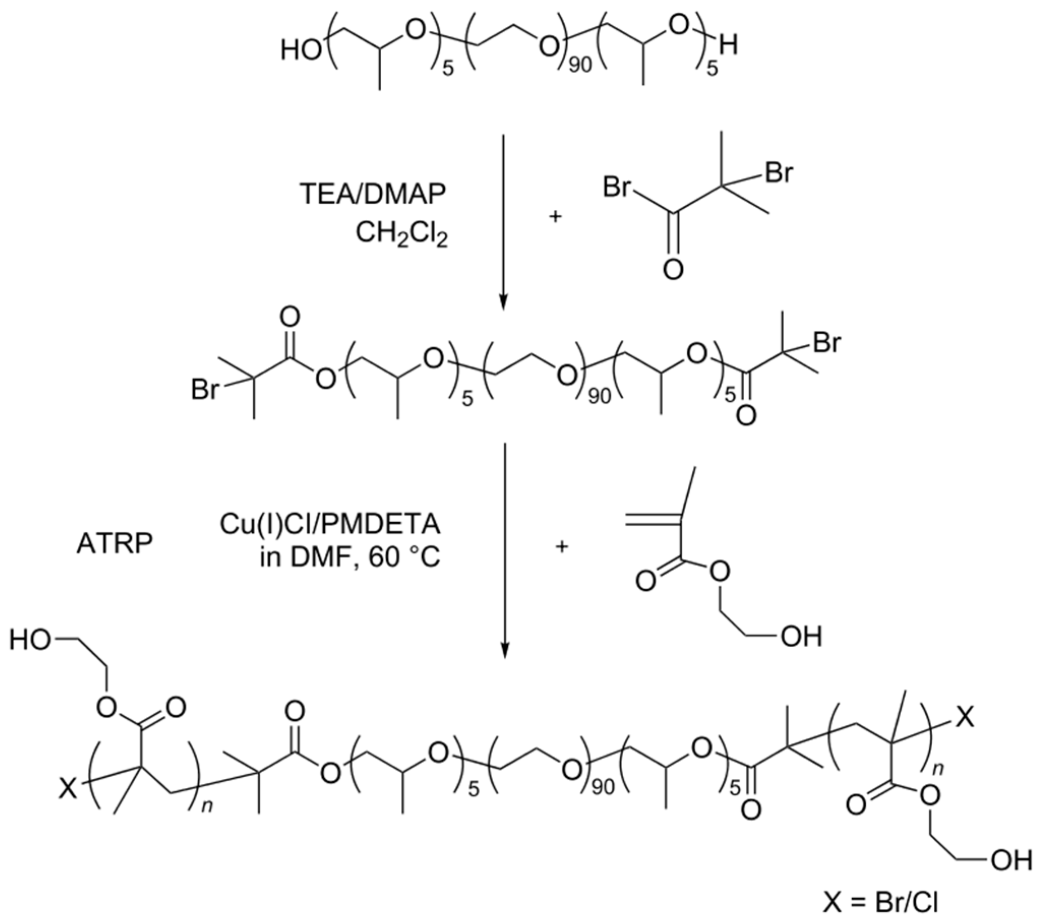 Polymers 08 00198 g001