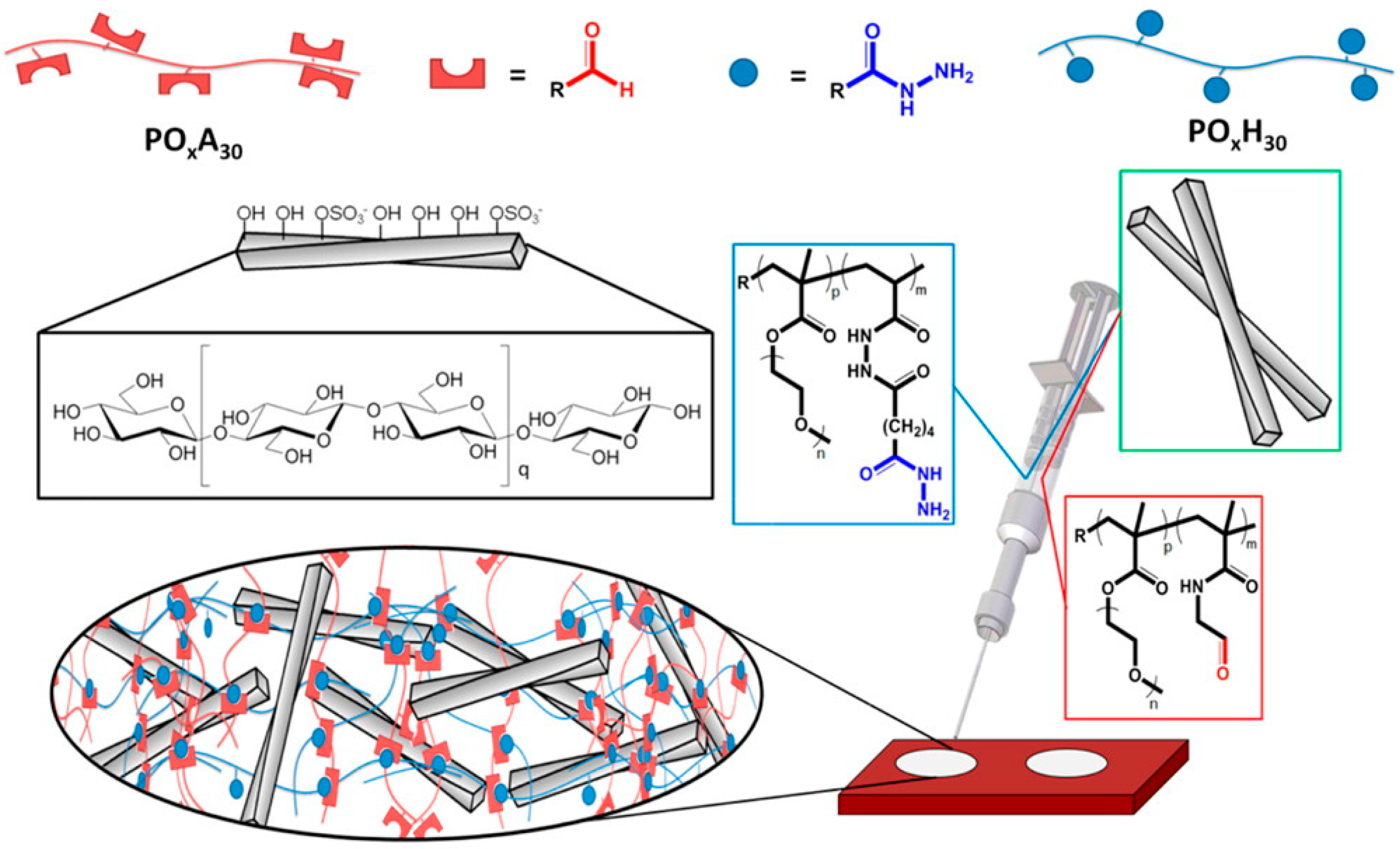 Polymers 08 00198 g006