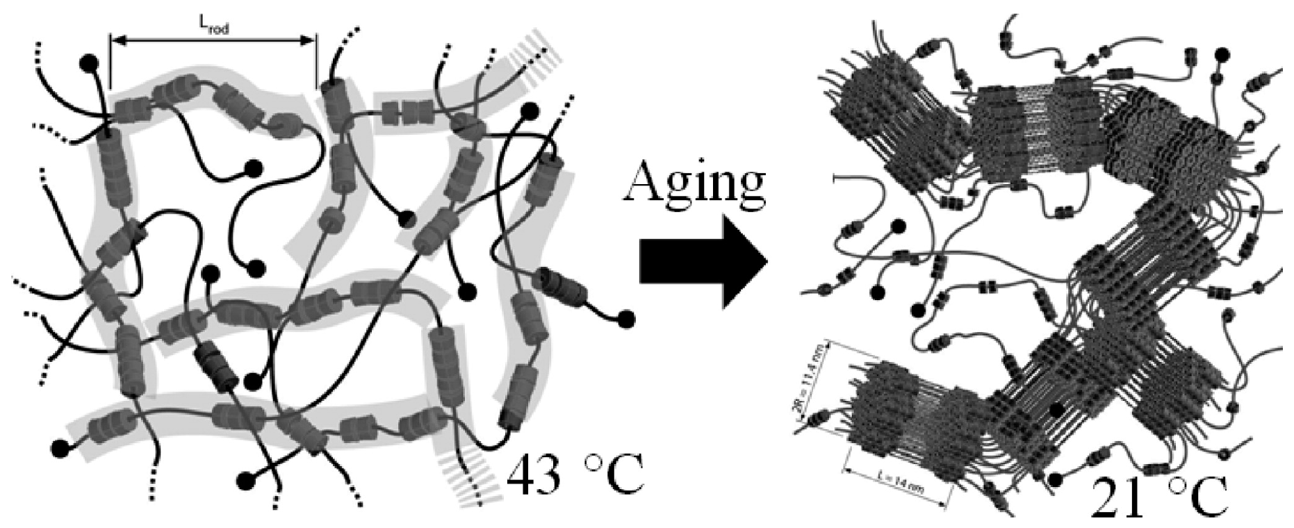 Polymers 08 00198 g007