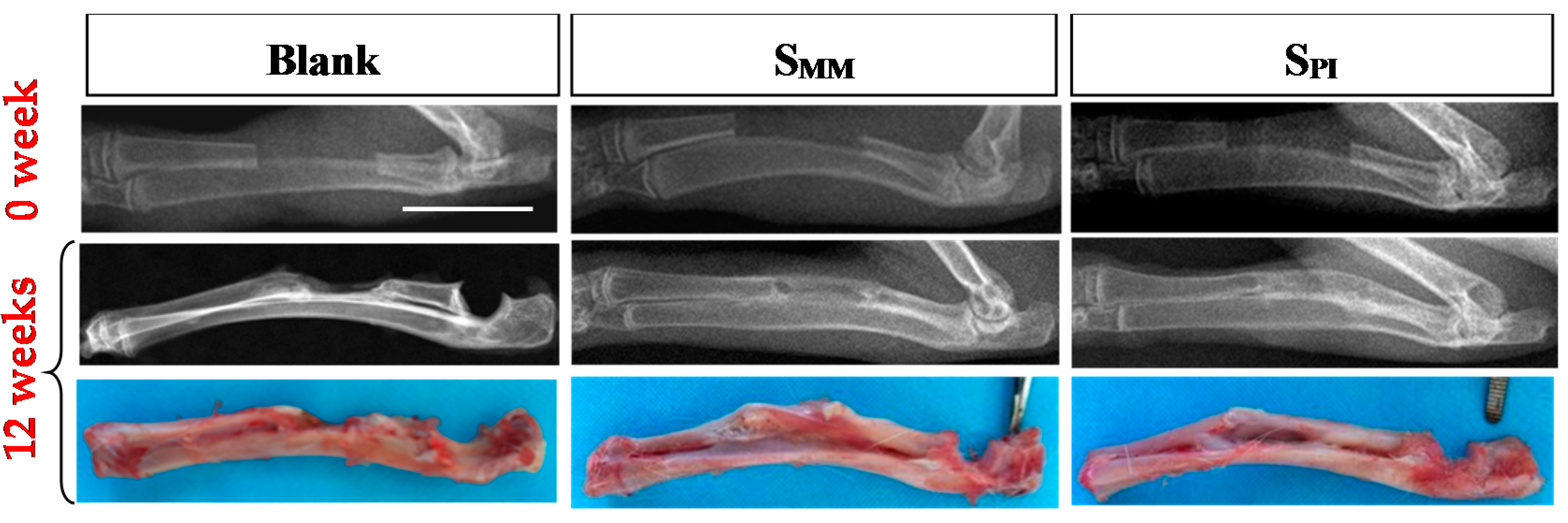Polymers 08 00218 g008