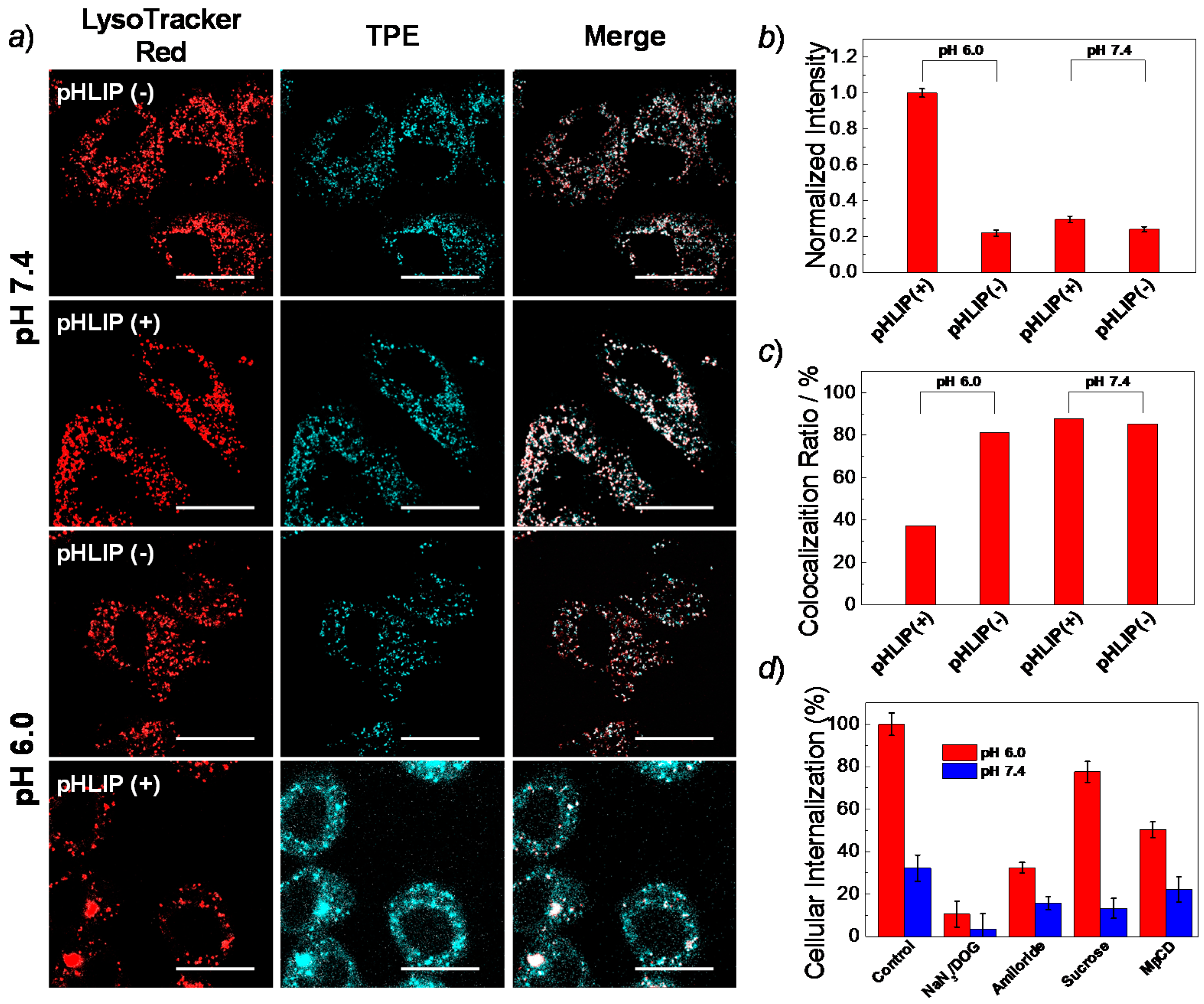 Polymers 08 00226 g002