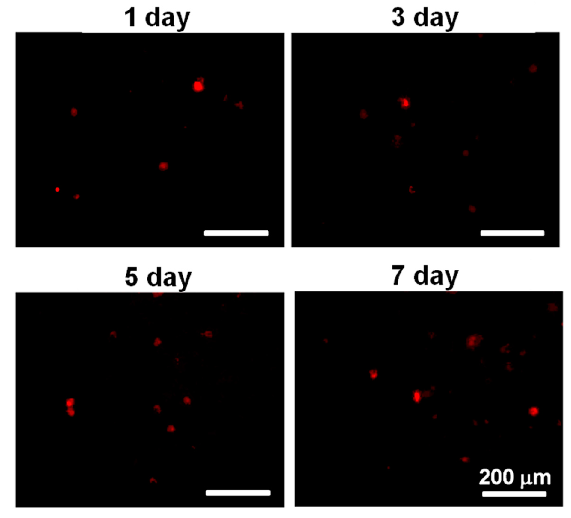 Polymers 08 00252 g007
