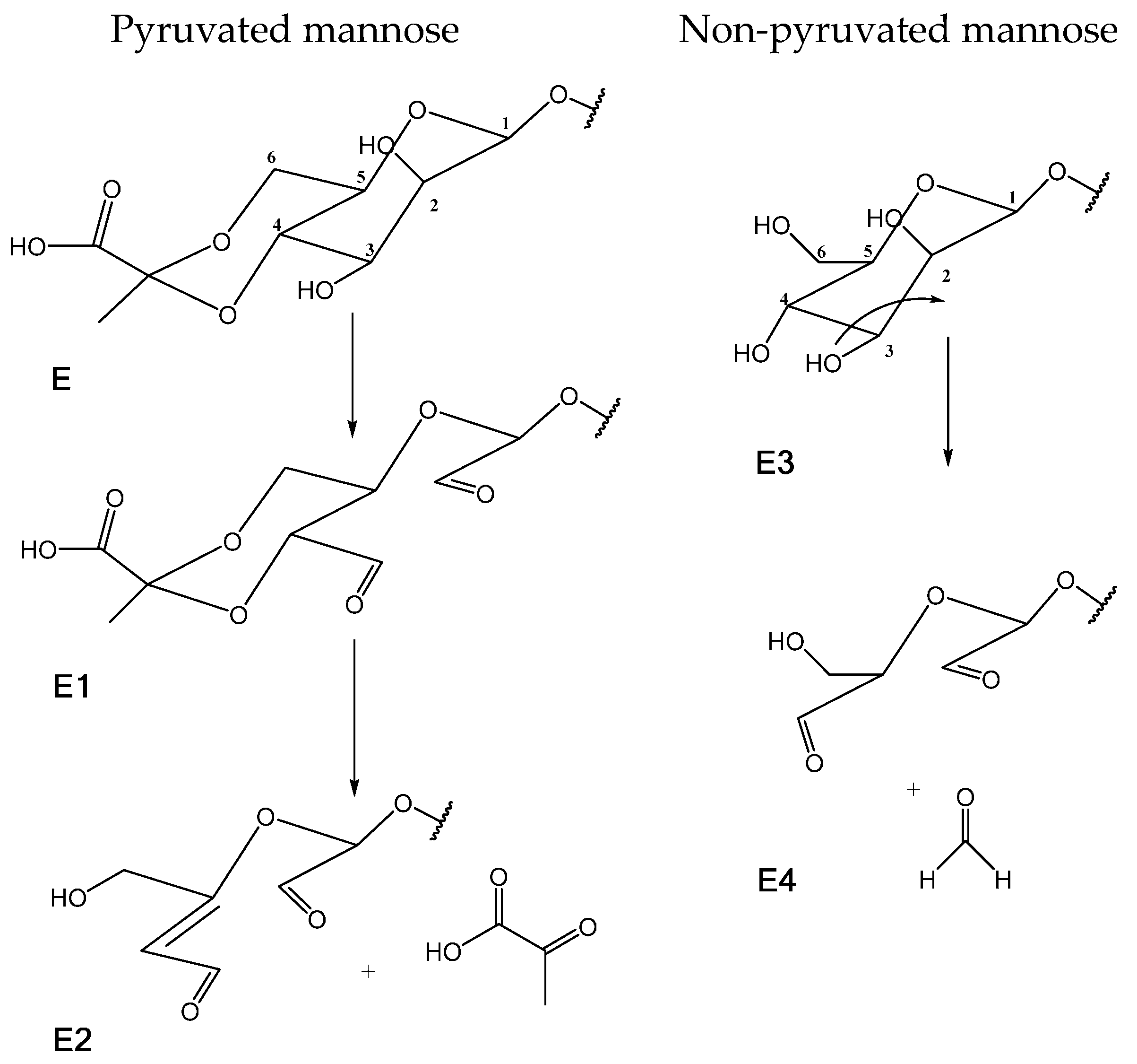 Polymers 08 00259 g004
