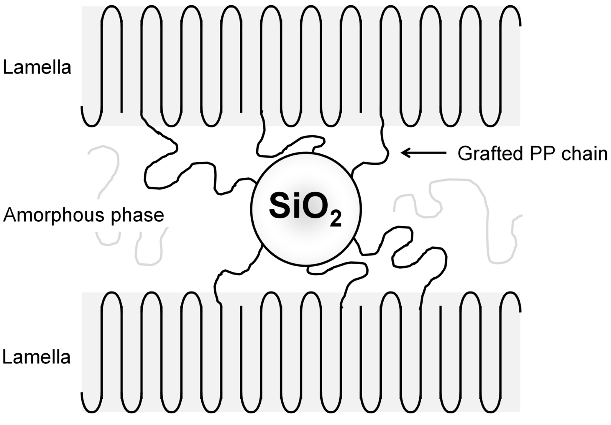 Polymers 08 00300 g001