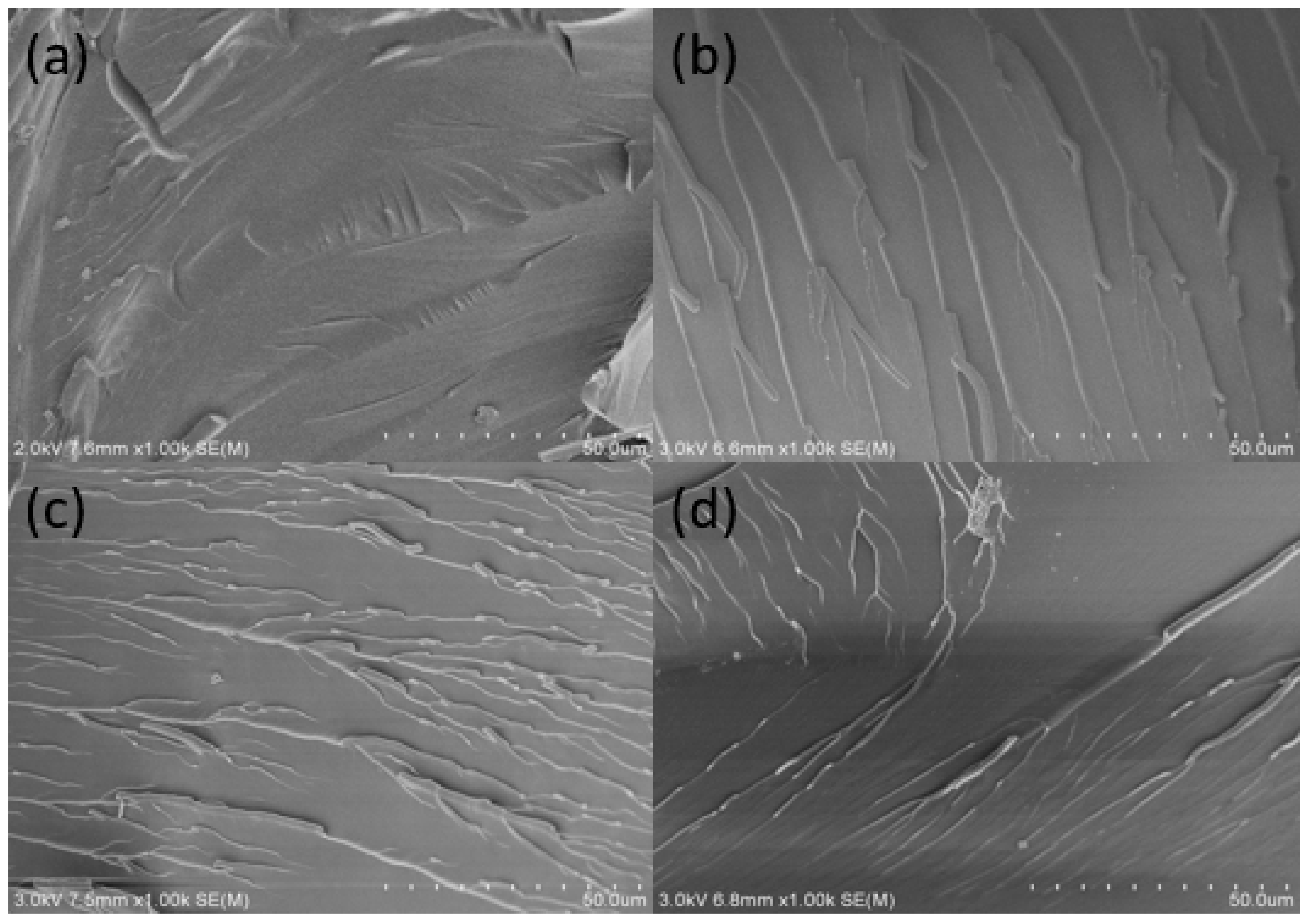 Polymers 08 00314 g006