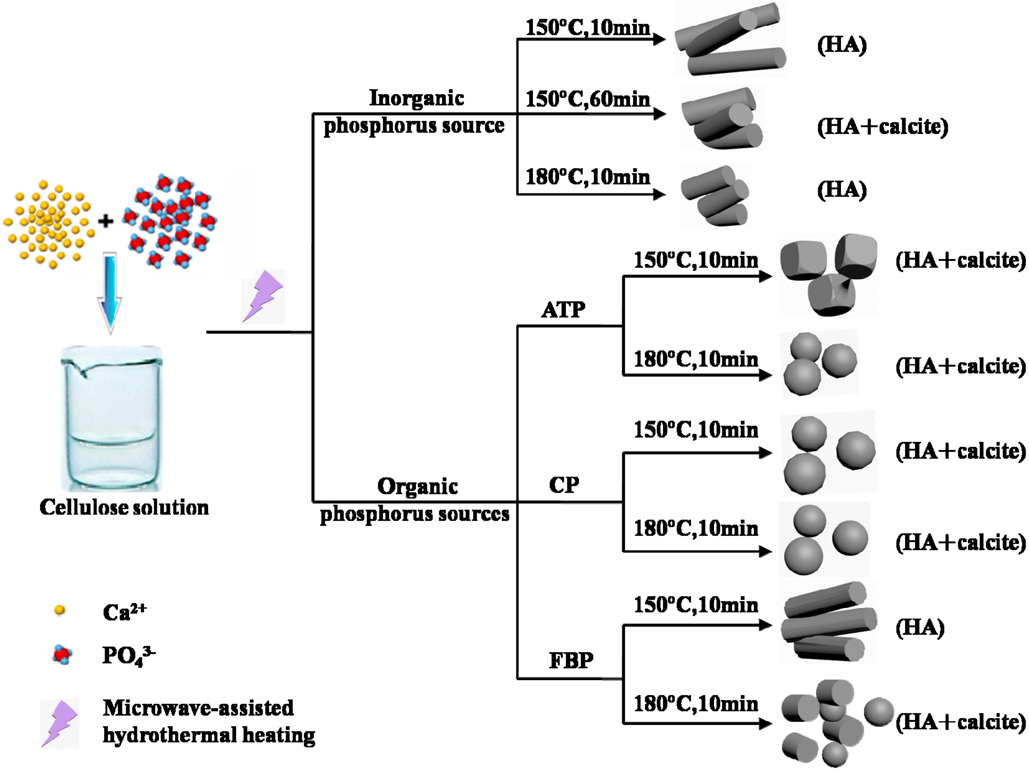 Polymers 08 00316 g009