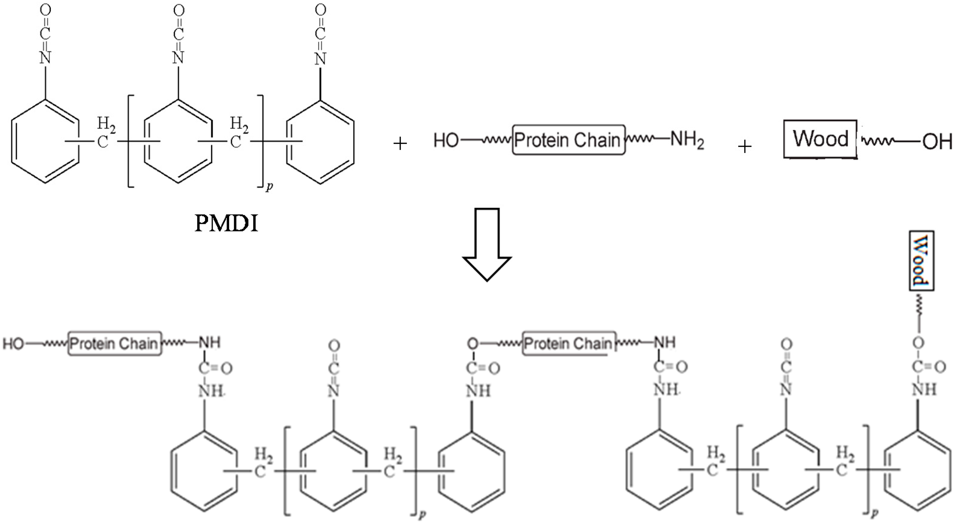 Polymers 08 00324 g003