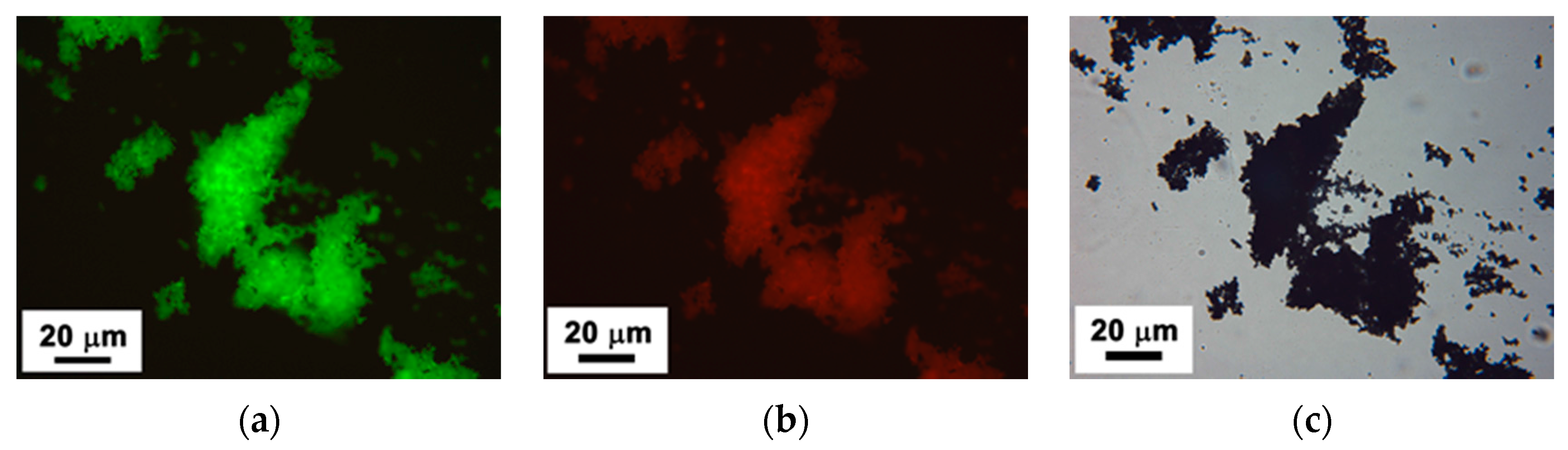 Polymers 08 00350 g007