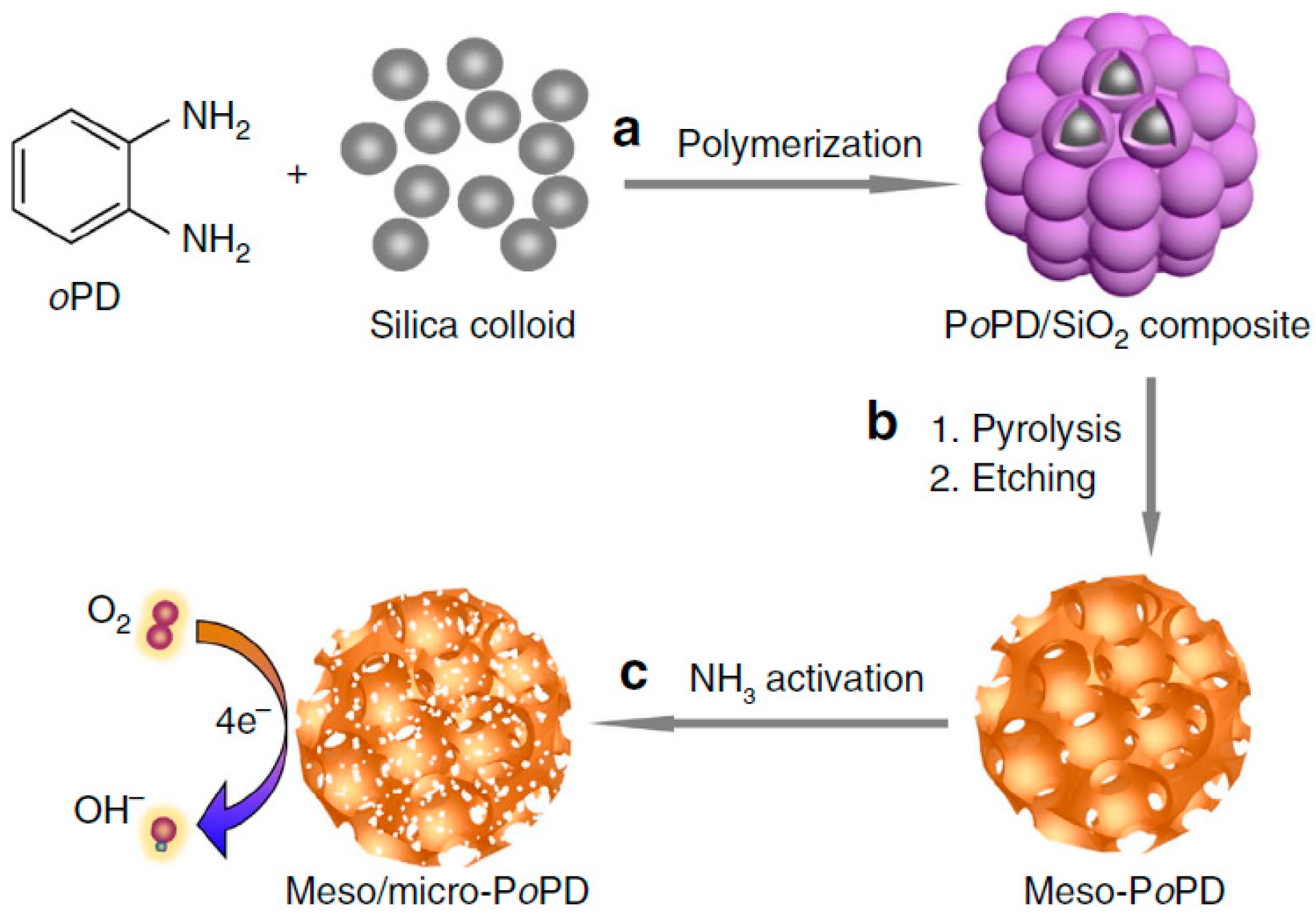 Polymers 08 00366 g008