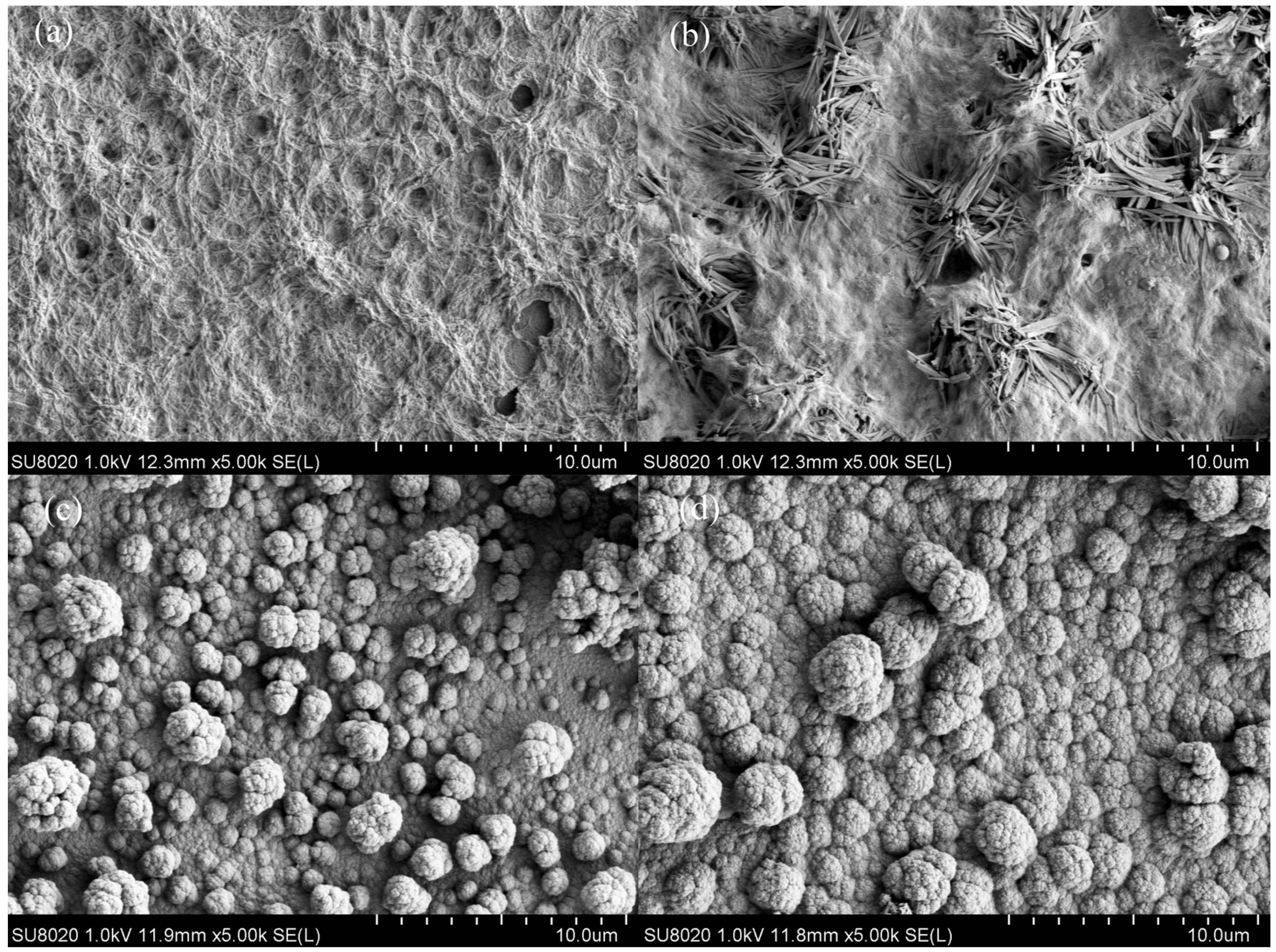 Polymers 08 00377 g005