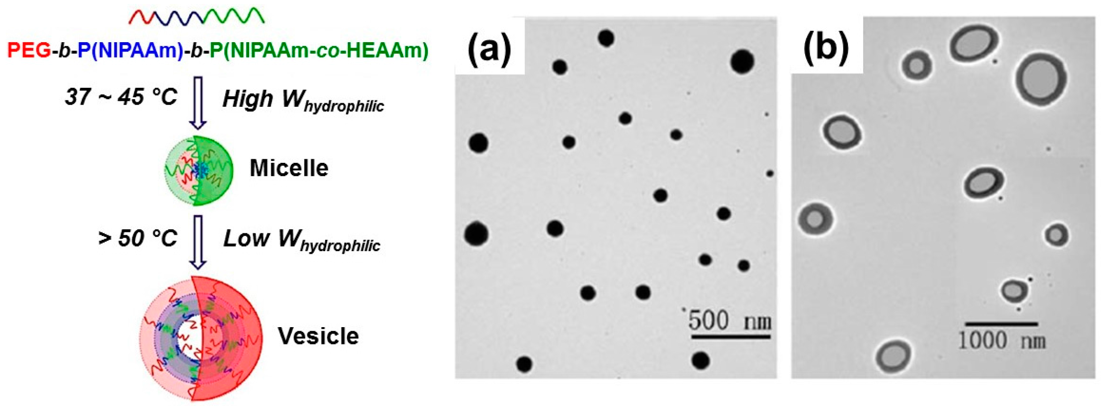 Polymers 08 00380 g005