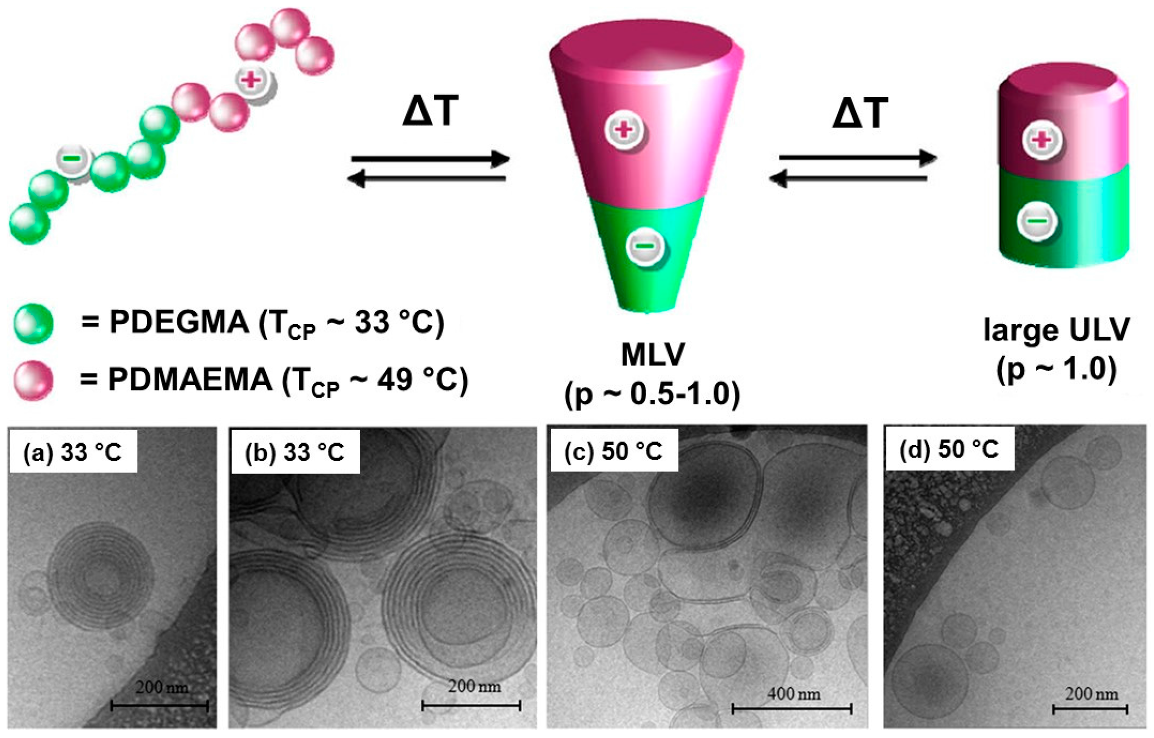 Polymers 08 00380 g006