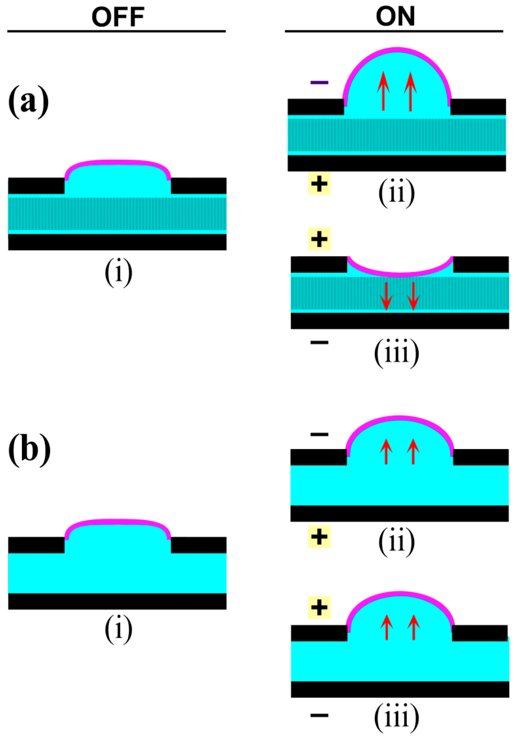 Polymers 08 00400 g005