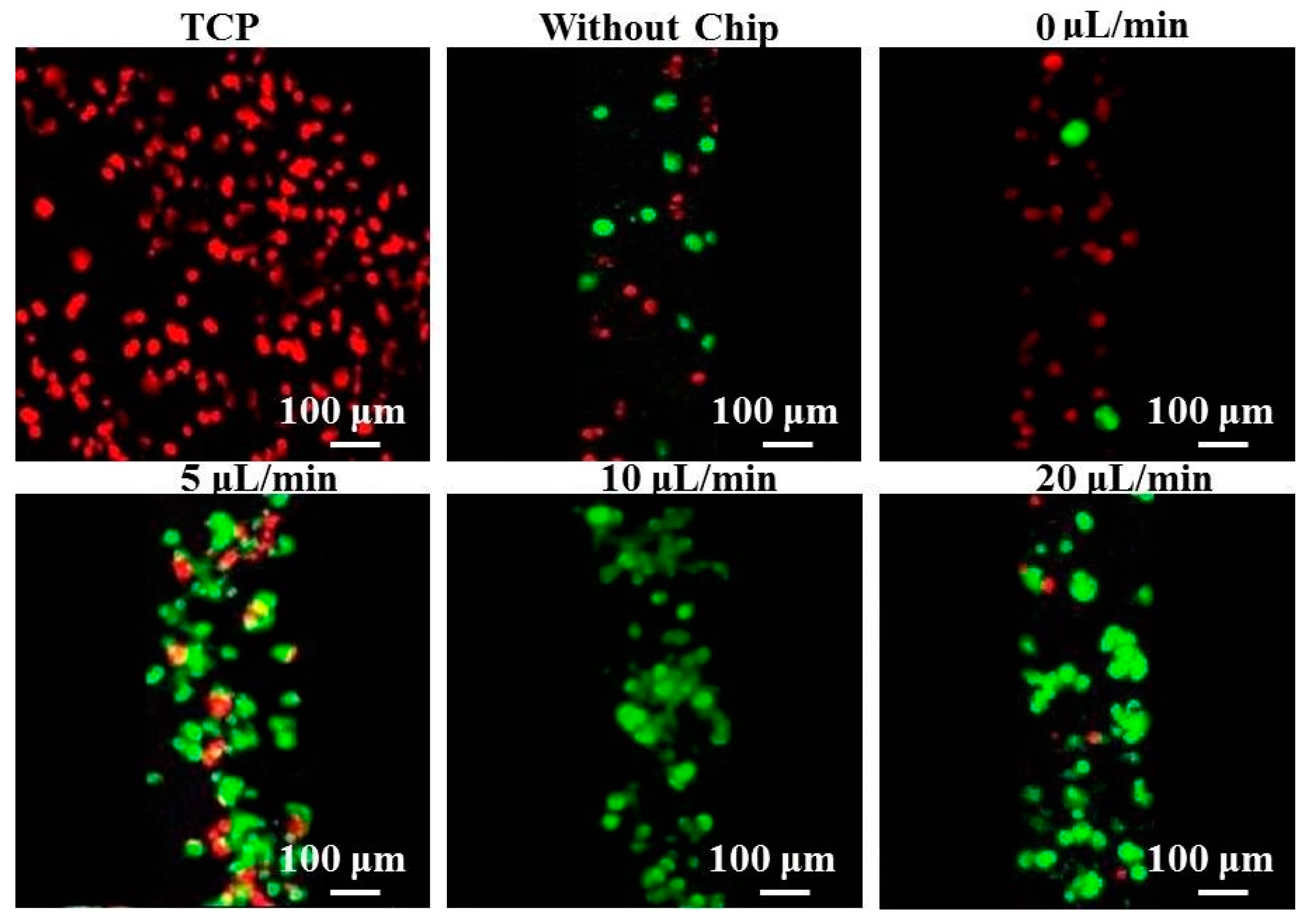 Polymers 08 00402 g003