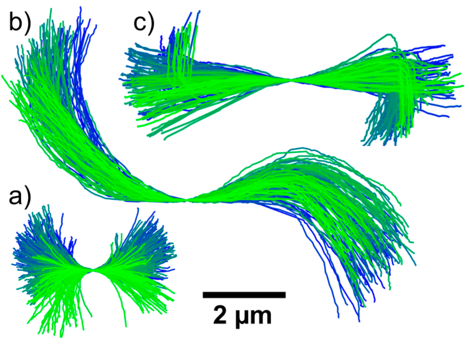 Polymers 08 00413 g004