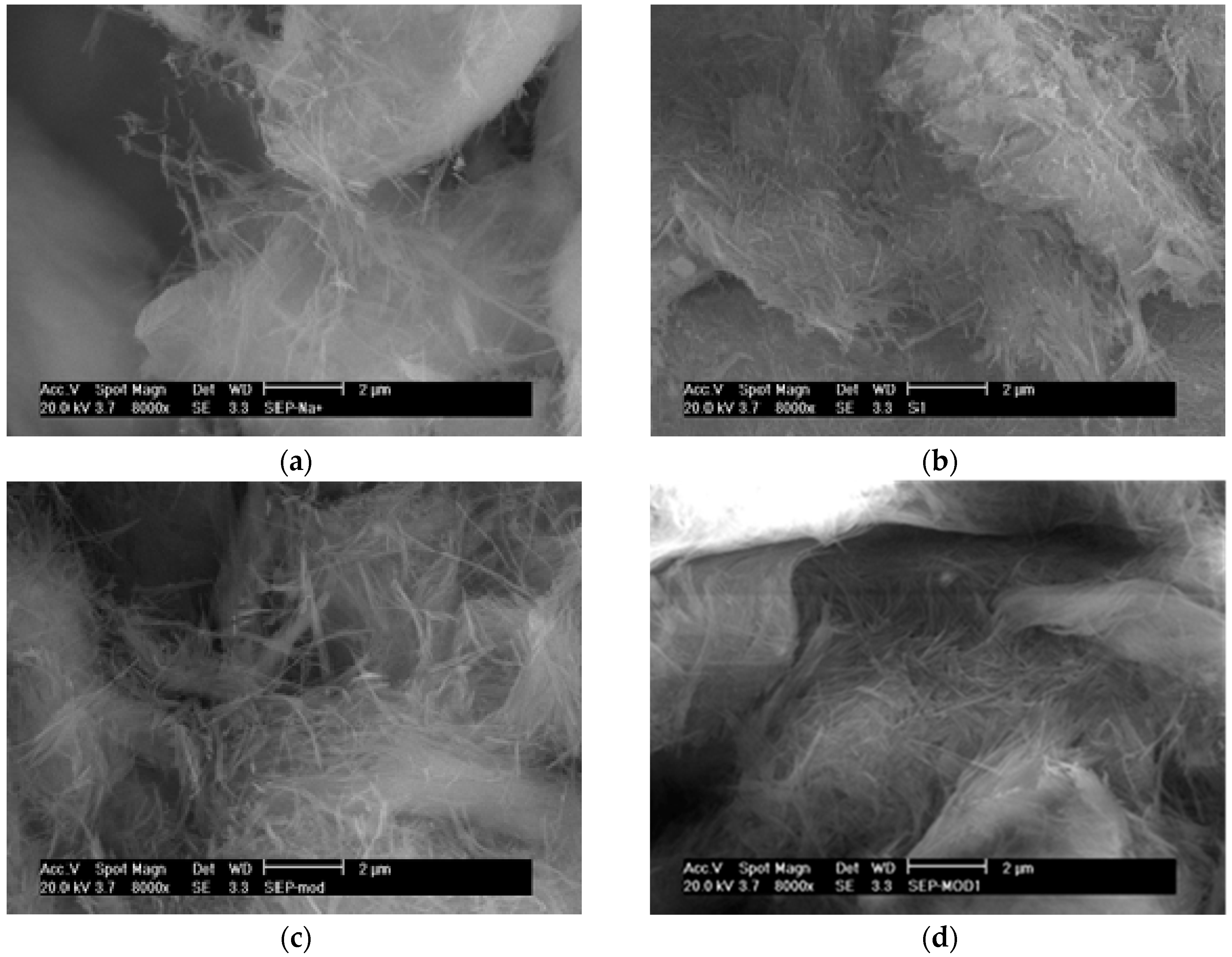 Polymers 08 00416 g001