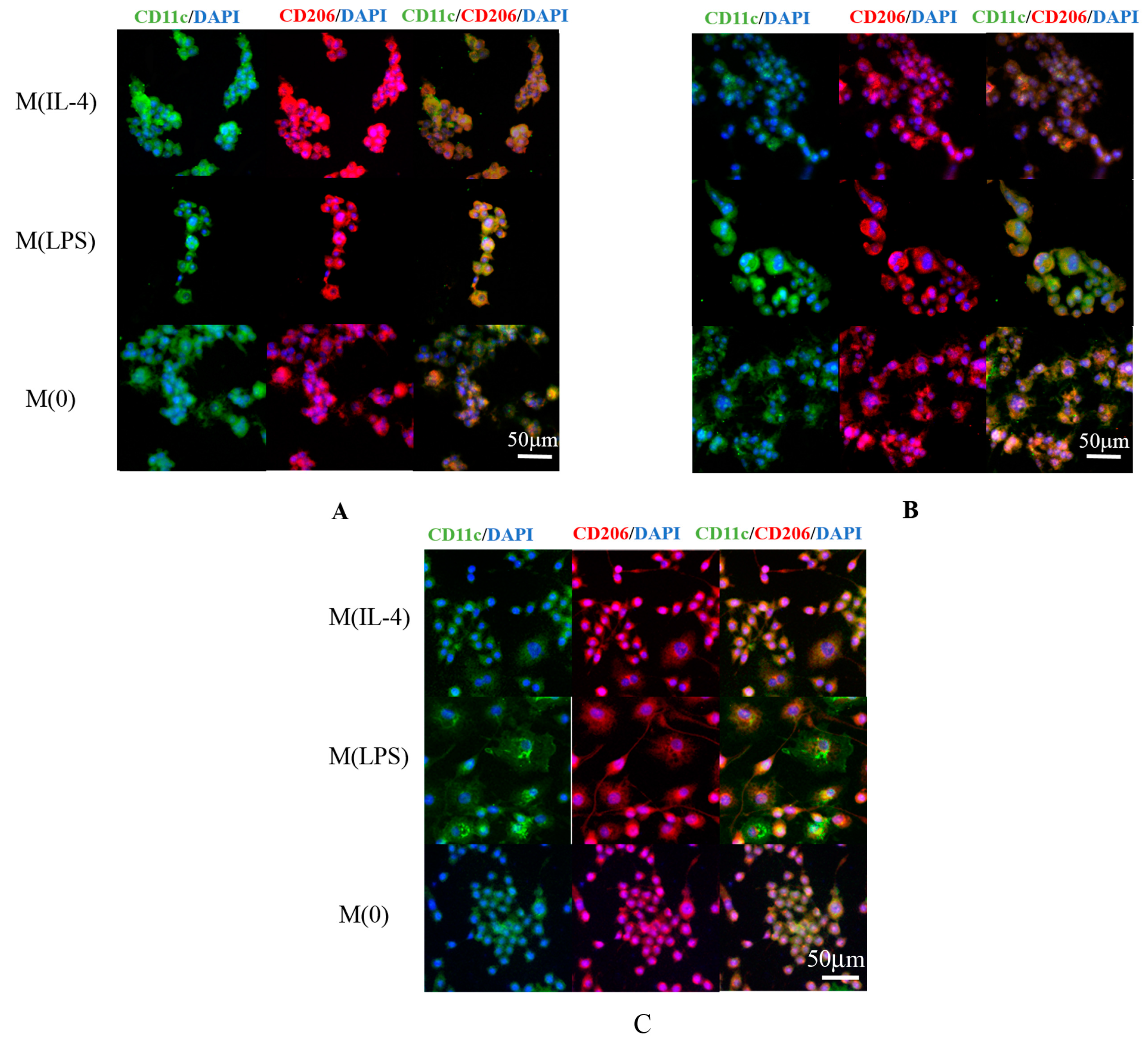 Polymers 08 00422 g005