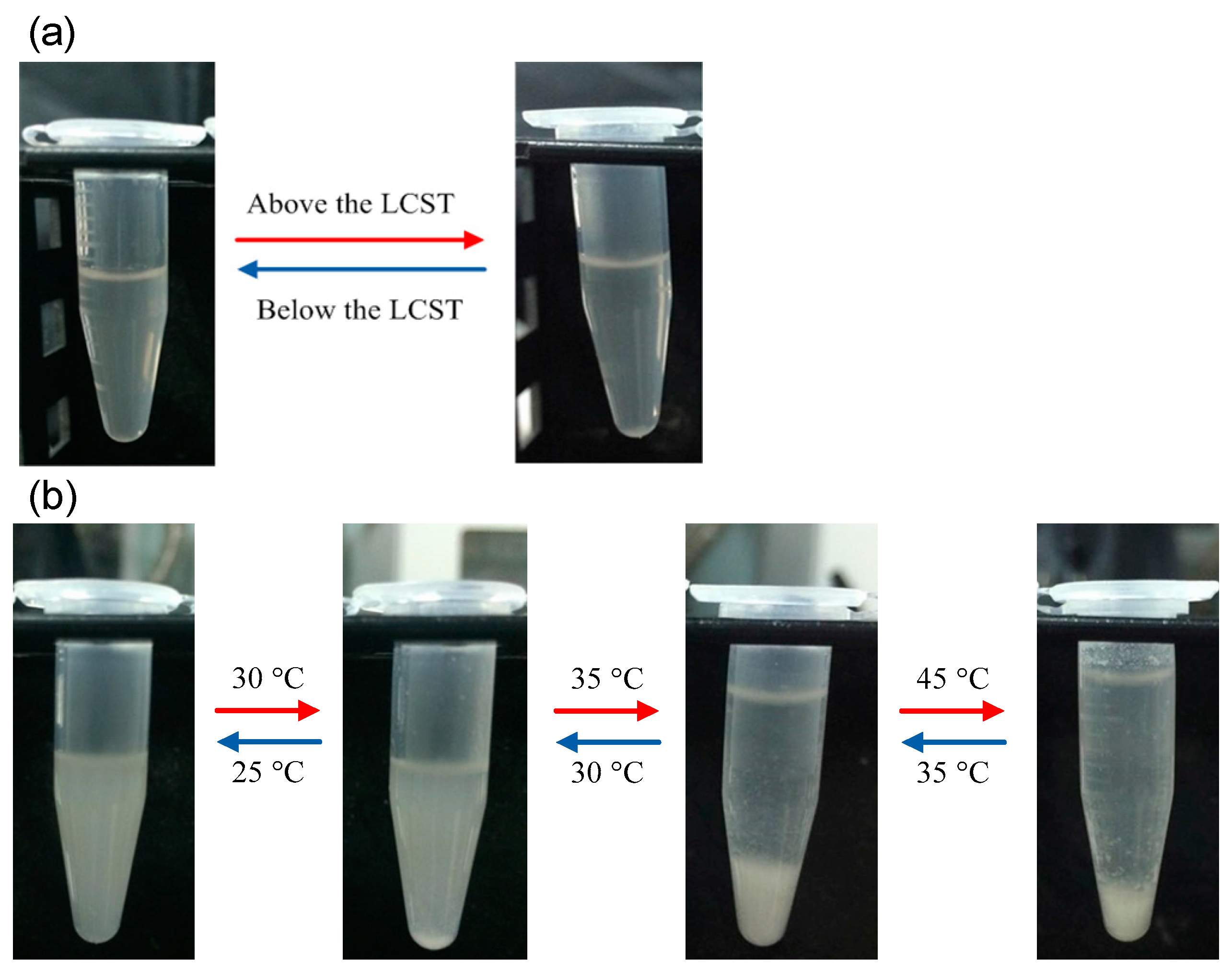 Polymers 08 00428 g007