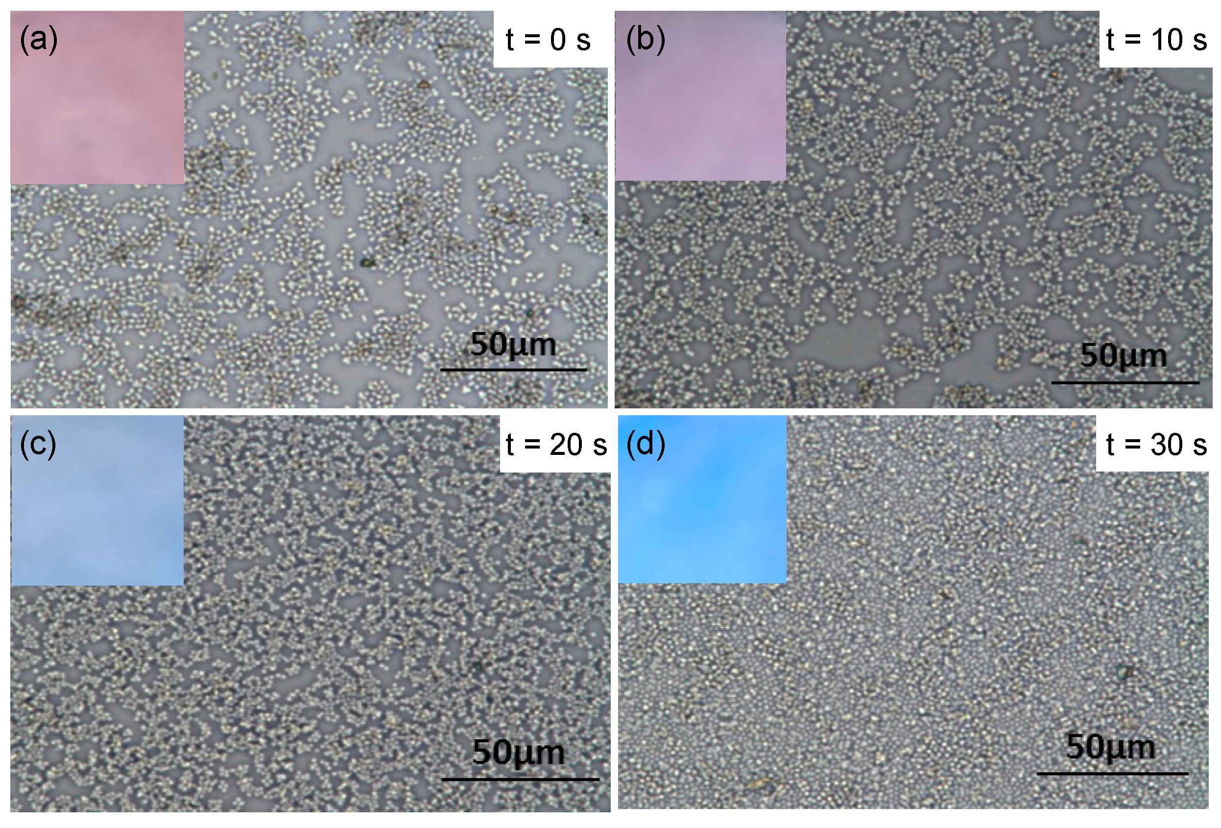 Polymers 08 00428 g008