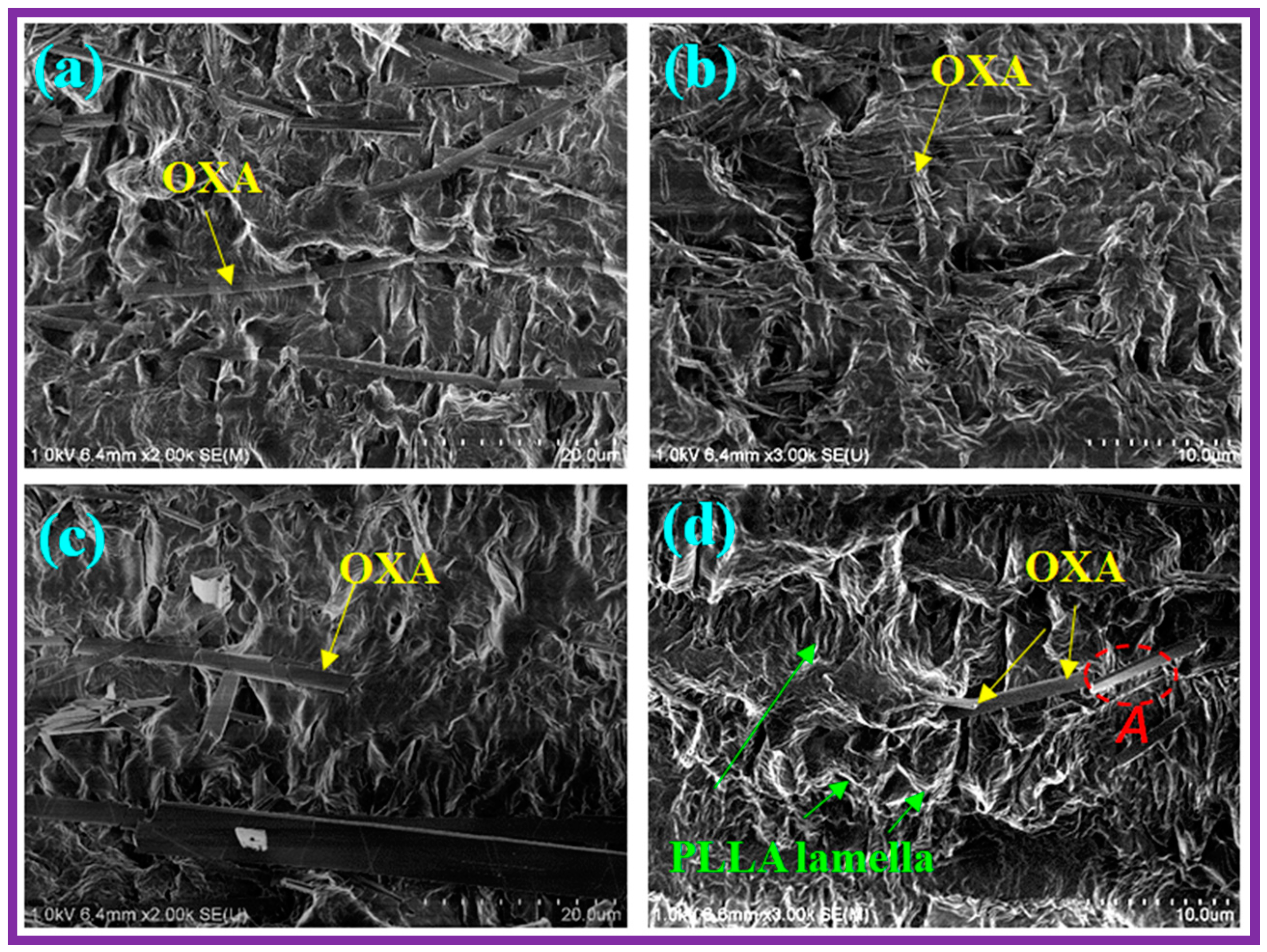 Polymers 08 00431 g008
