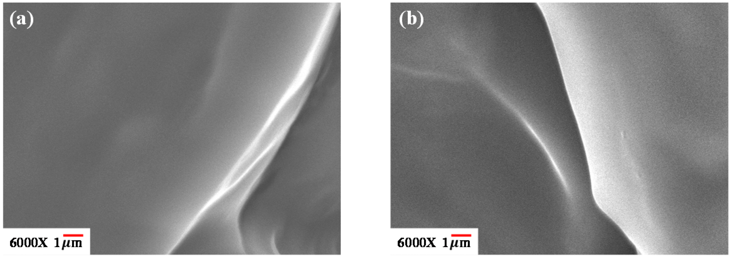 Polymers 08 00444 g001