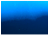 Polymers 09 00009 i001