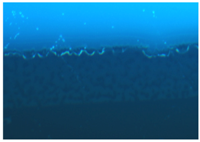 Polymers 09 00009 i002