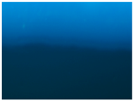 Polymers 09 00009 i004