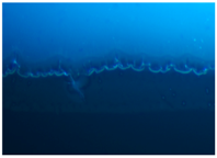 Polymers 09 00009 i005