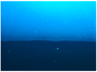 Polymers 09 00009 i006