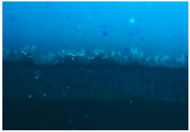 Polymers 09 00009 i009