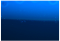 Polymers 09 00009 i011