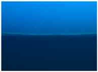 Polymers 09 00009 i014