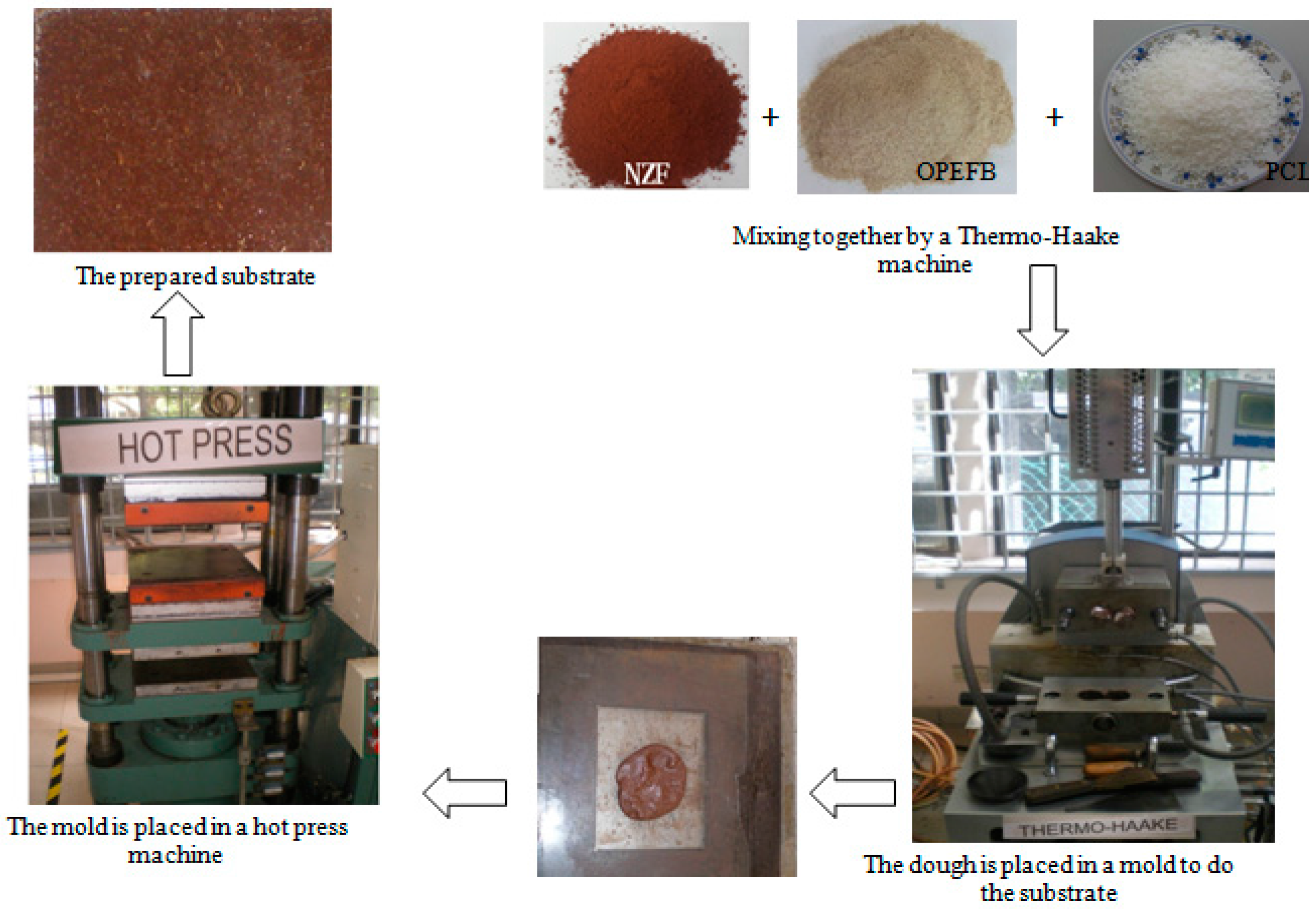 Polymers 09 00012 g001