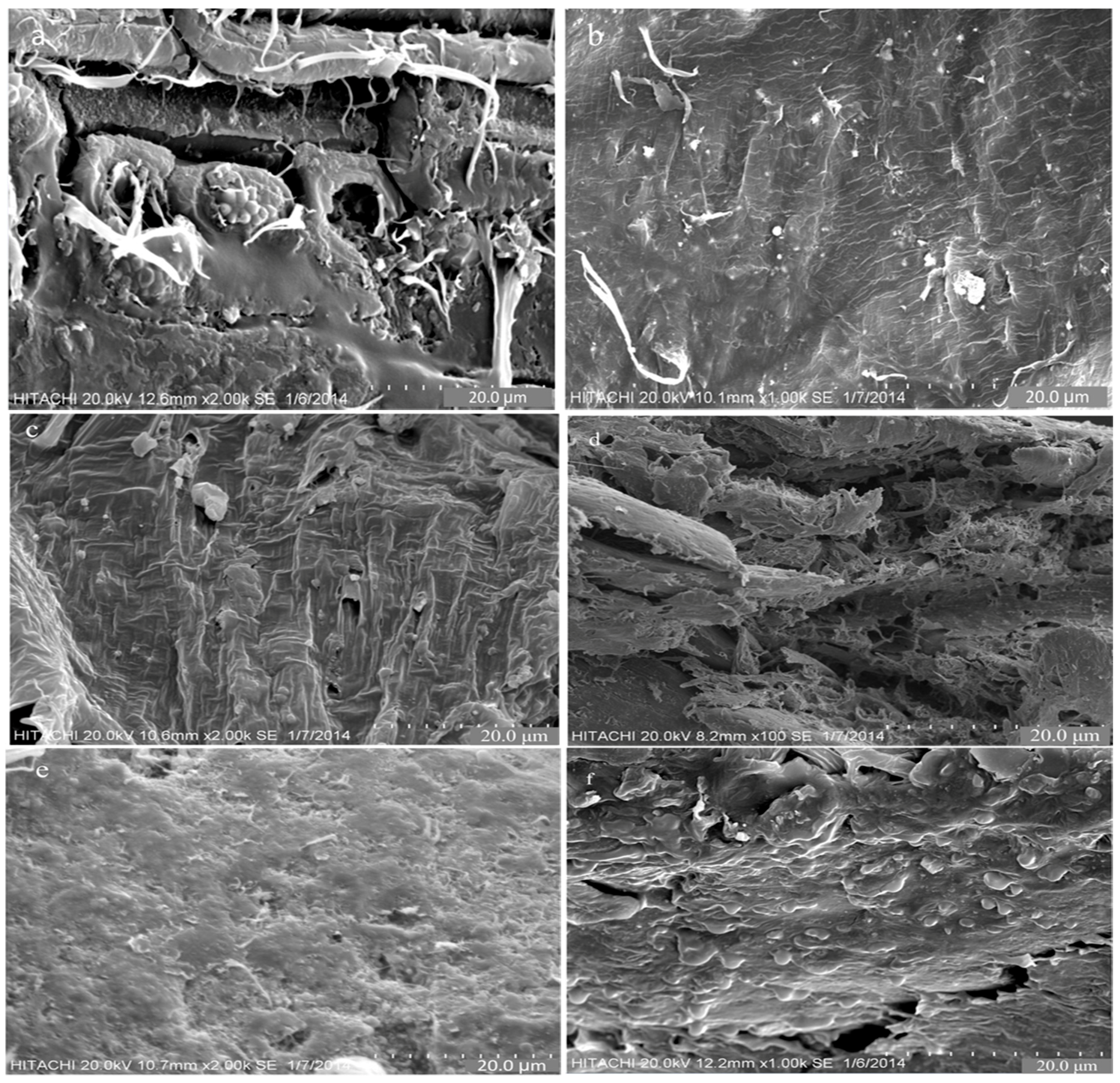 Polymers 09 00012 g005