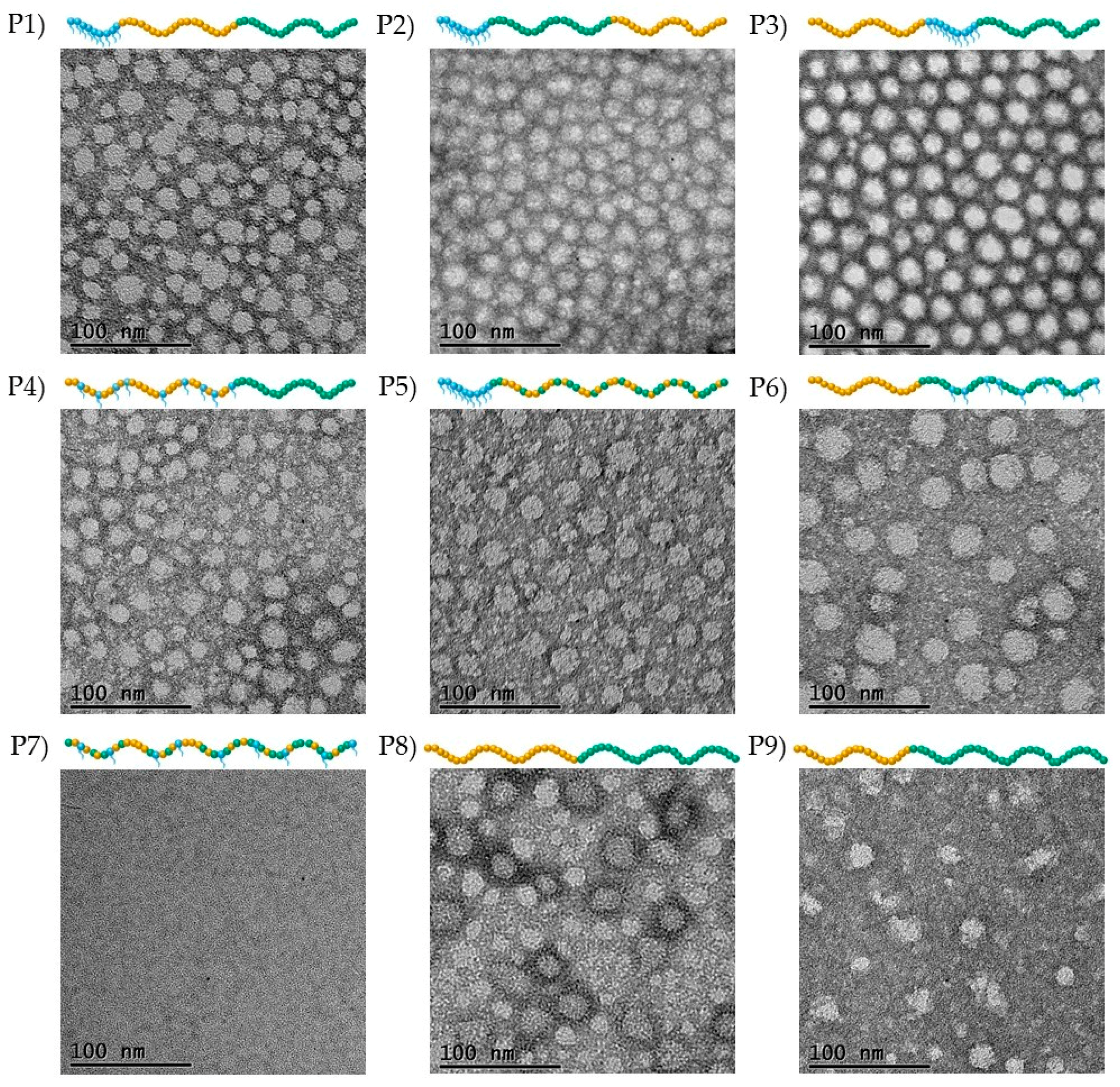 Polymers 09 00031 g005