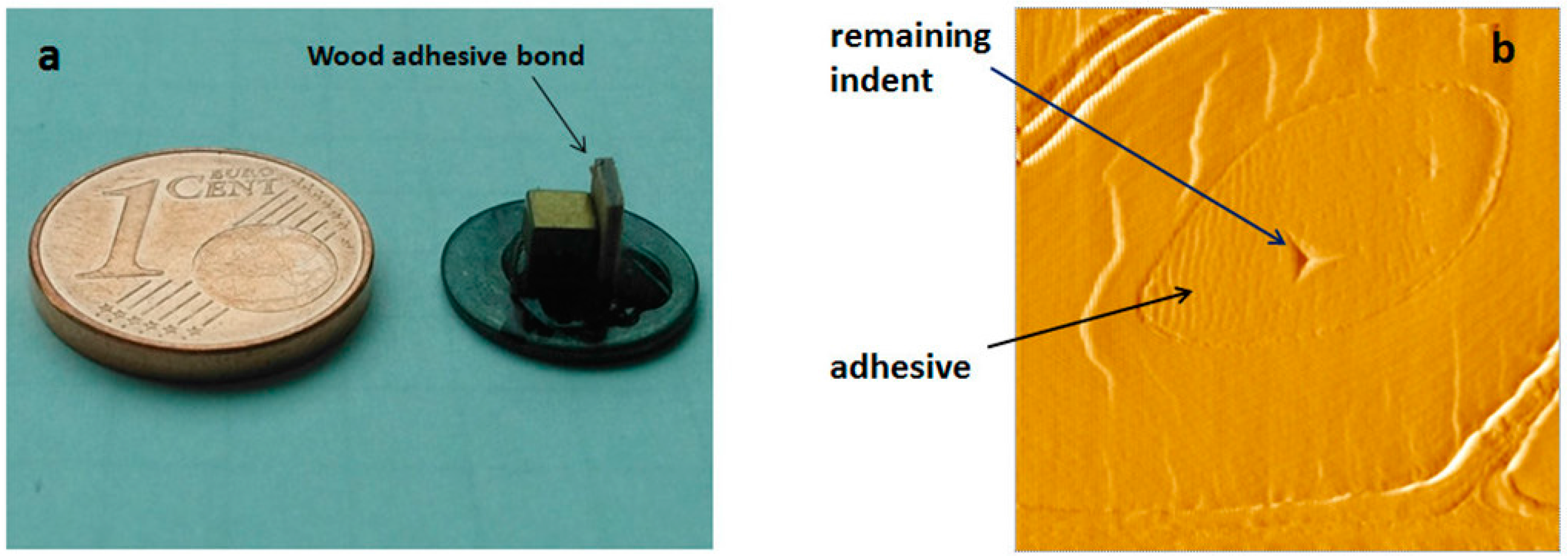 Polymers 09 00043 g001