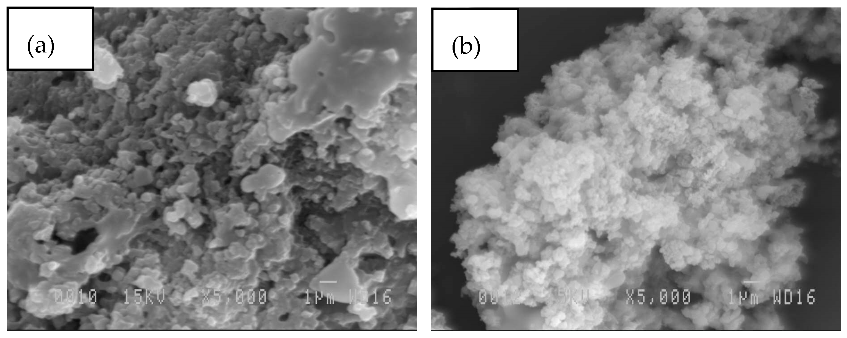 Polymers 09 00046 g006