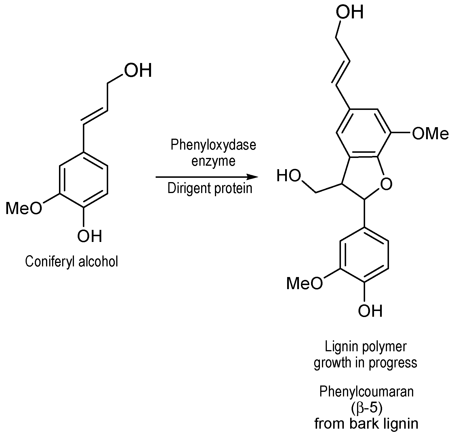 Polymers 09 00046 g008