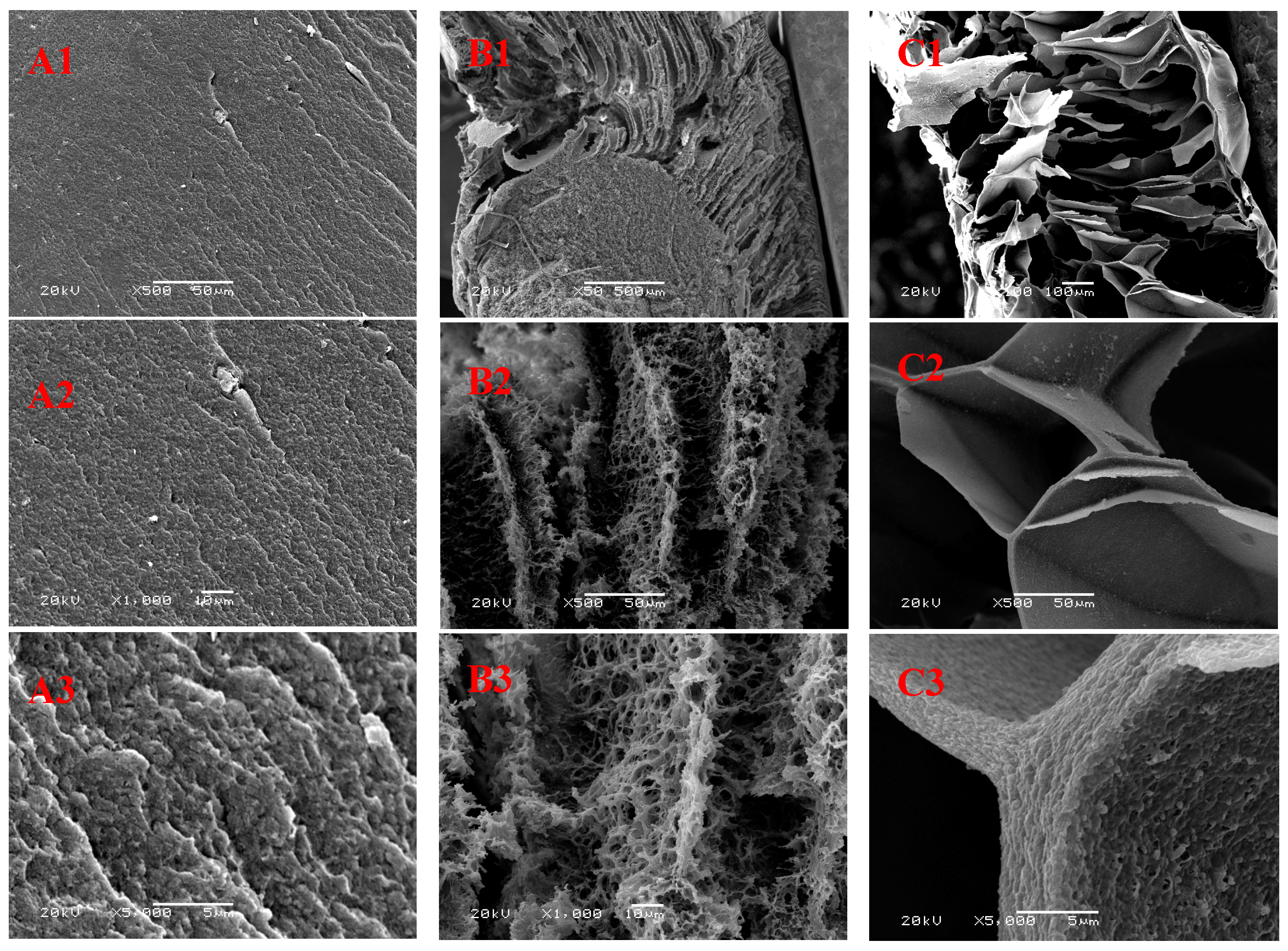 Polymers 09 00054 g002