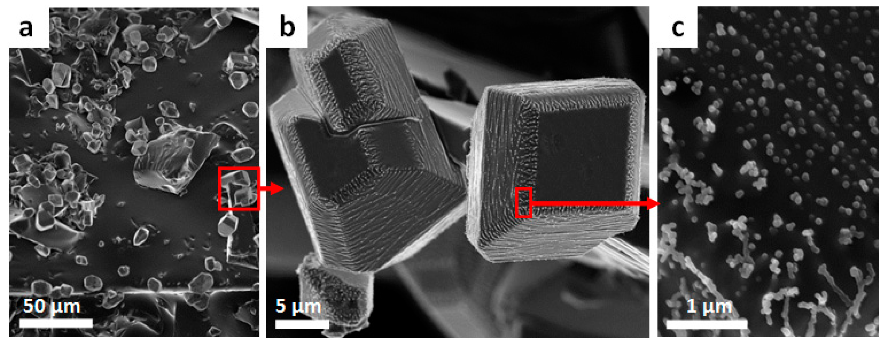 Polymers 09 00059 g003