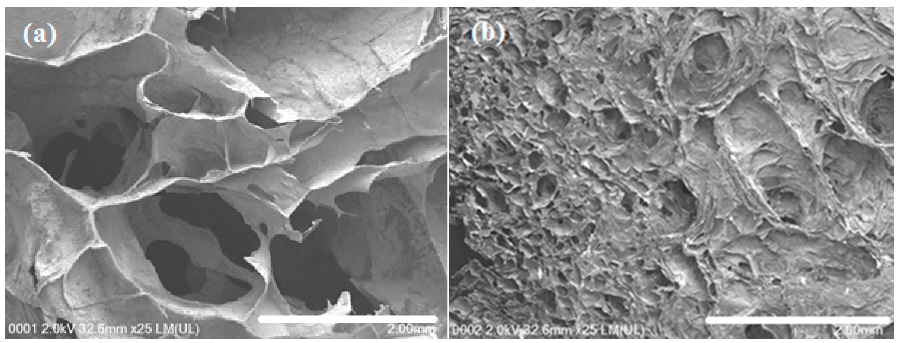 Polymers 09 00064 g003a