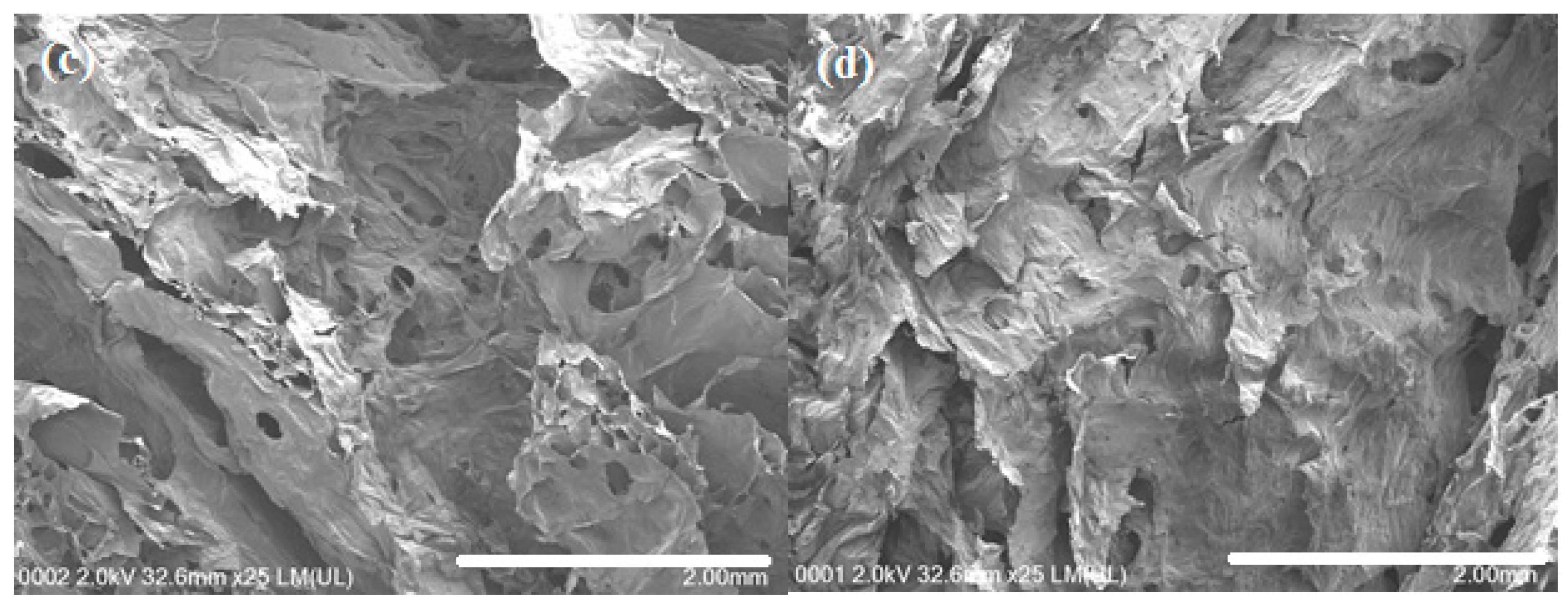 Polymers 09 00064 g003b