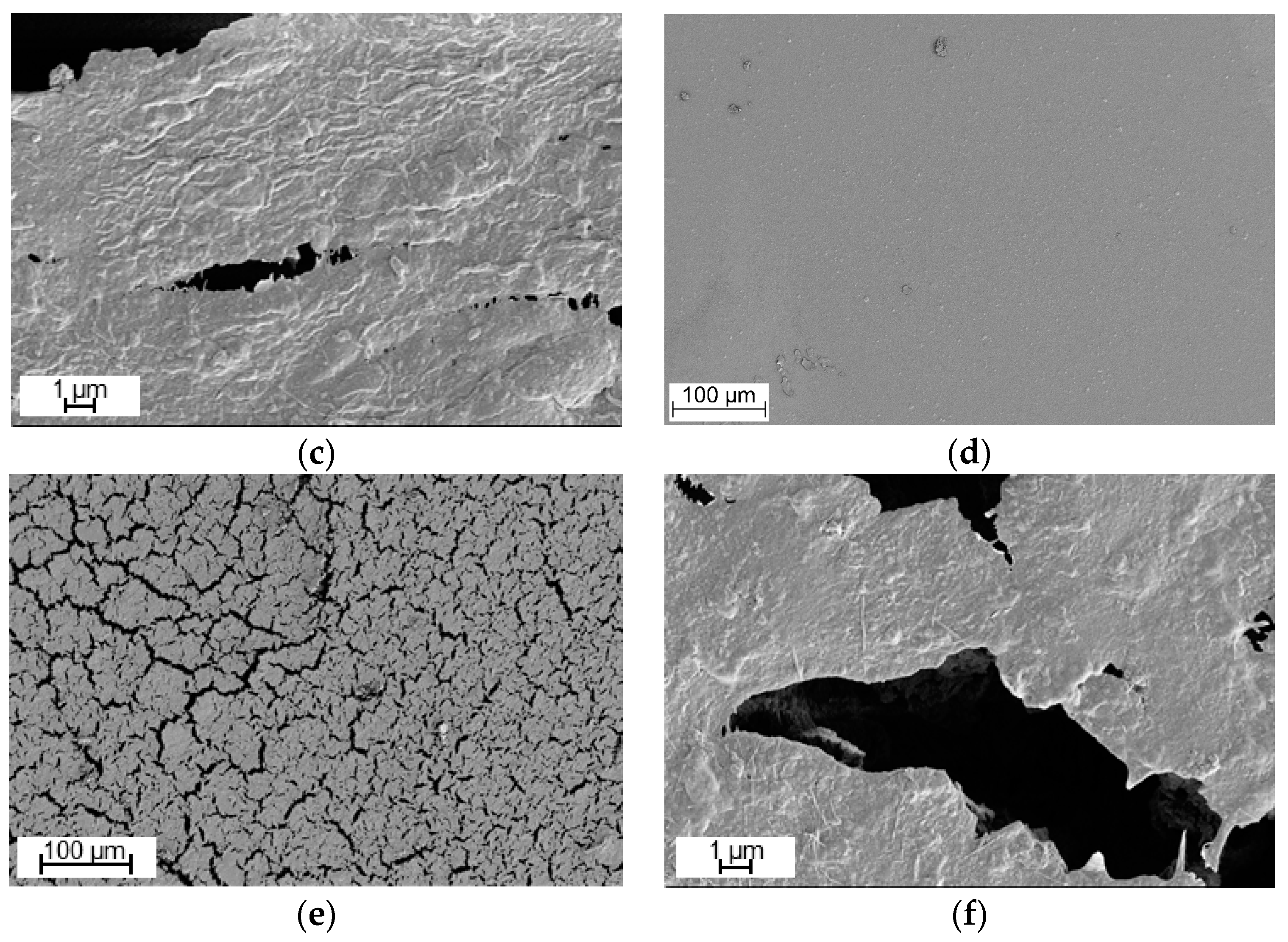 Polymers 09 00065 g002b