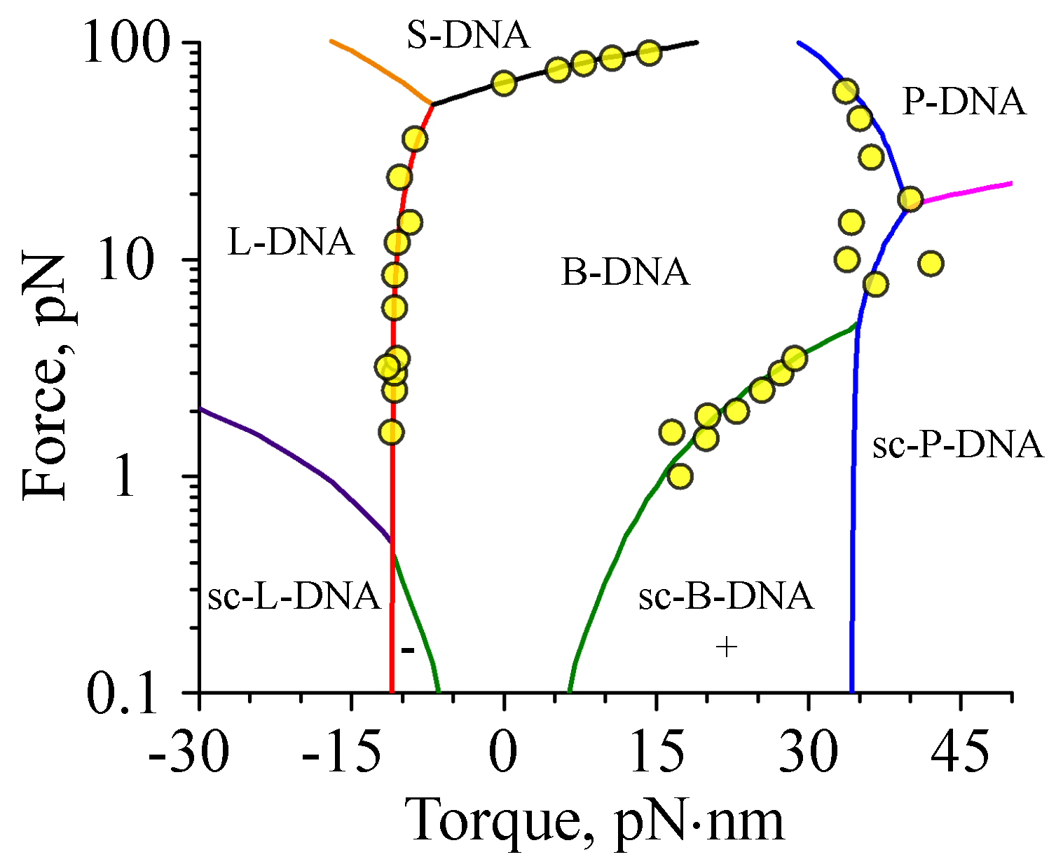 Polymers 09 00074 g005